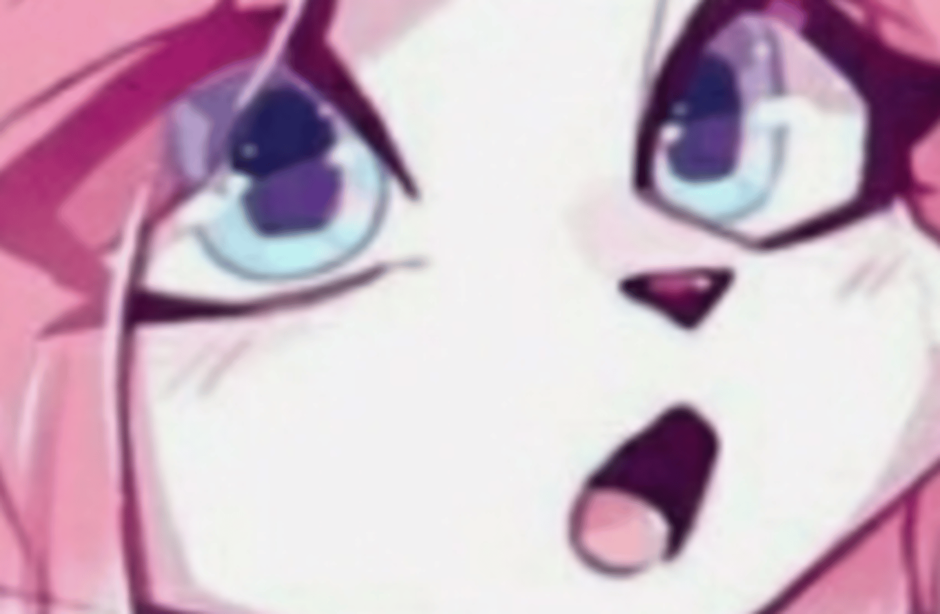 Ruby the cat