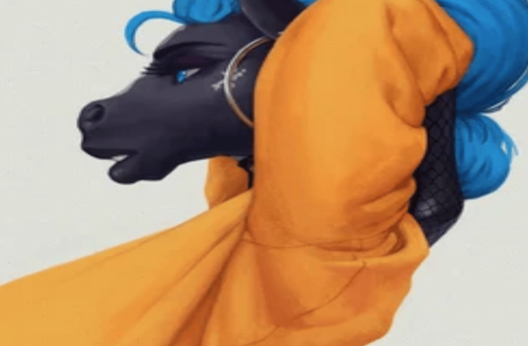Destiny (furry zebra)