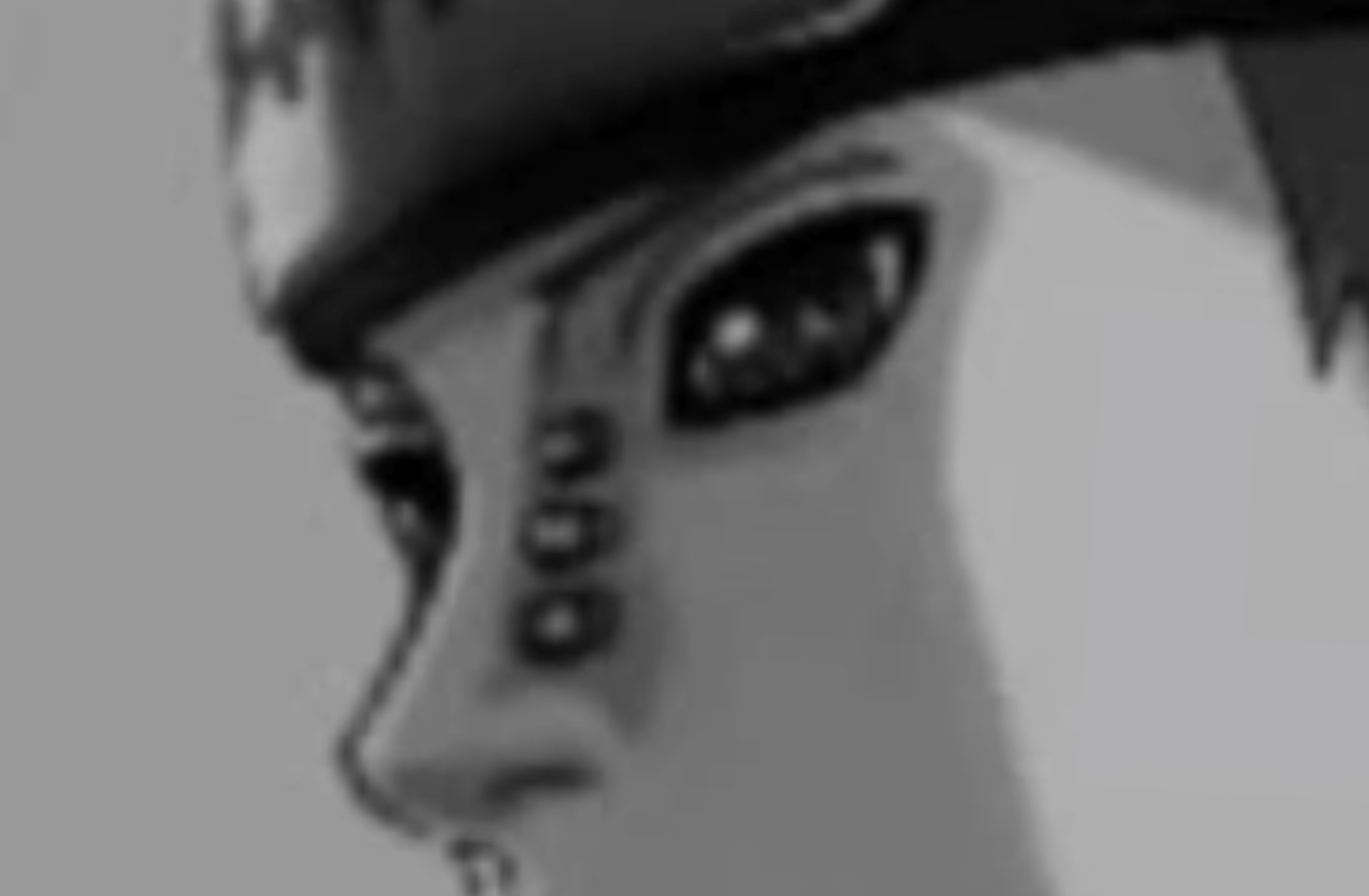 Mafia boss (zen)