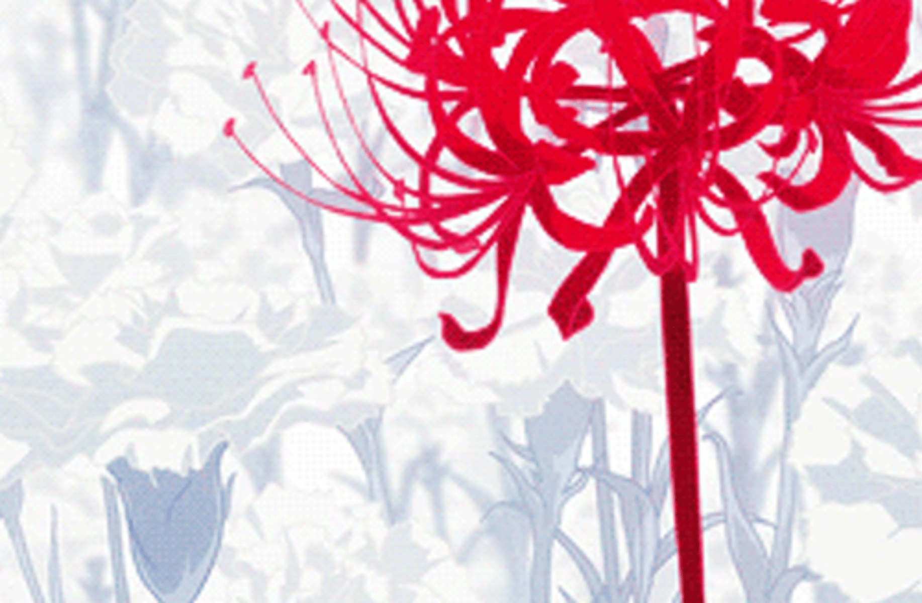 Ayame
