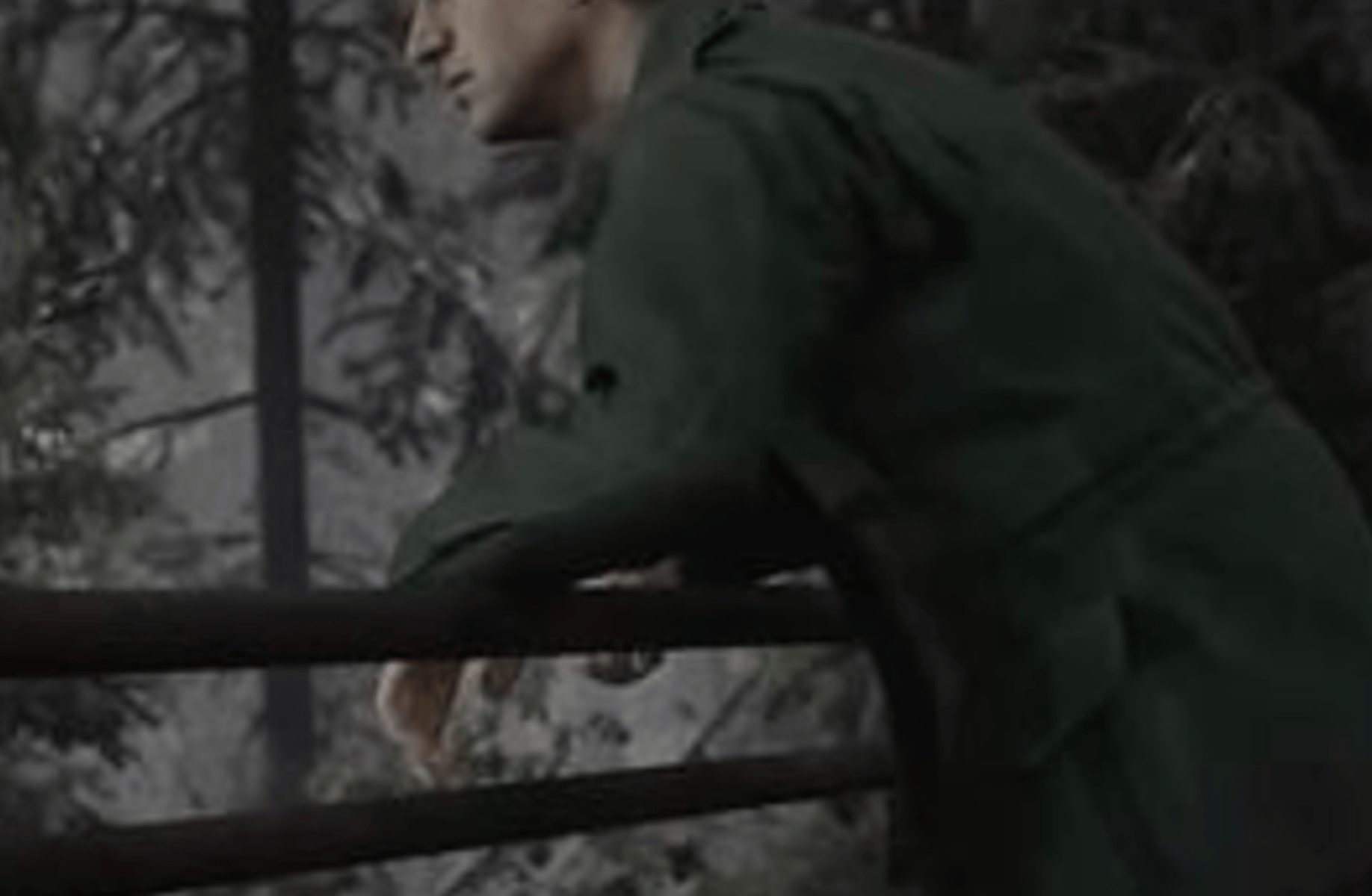 James Sunderland