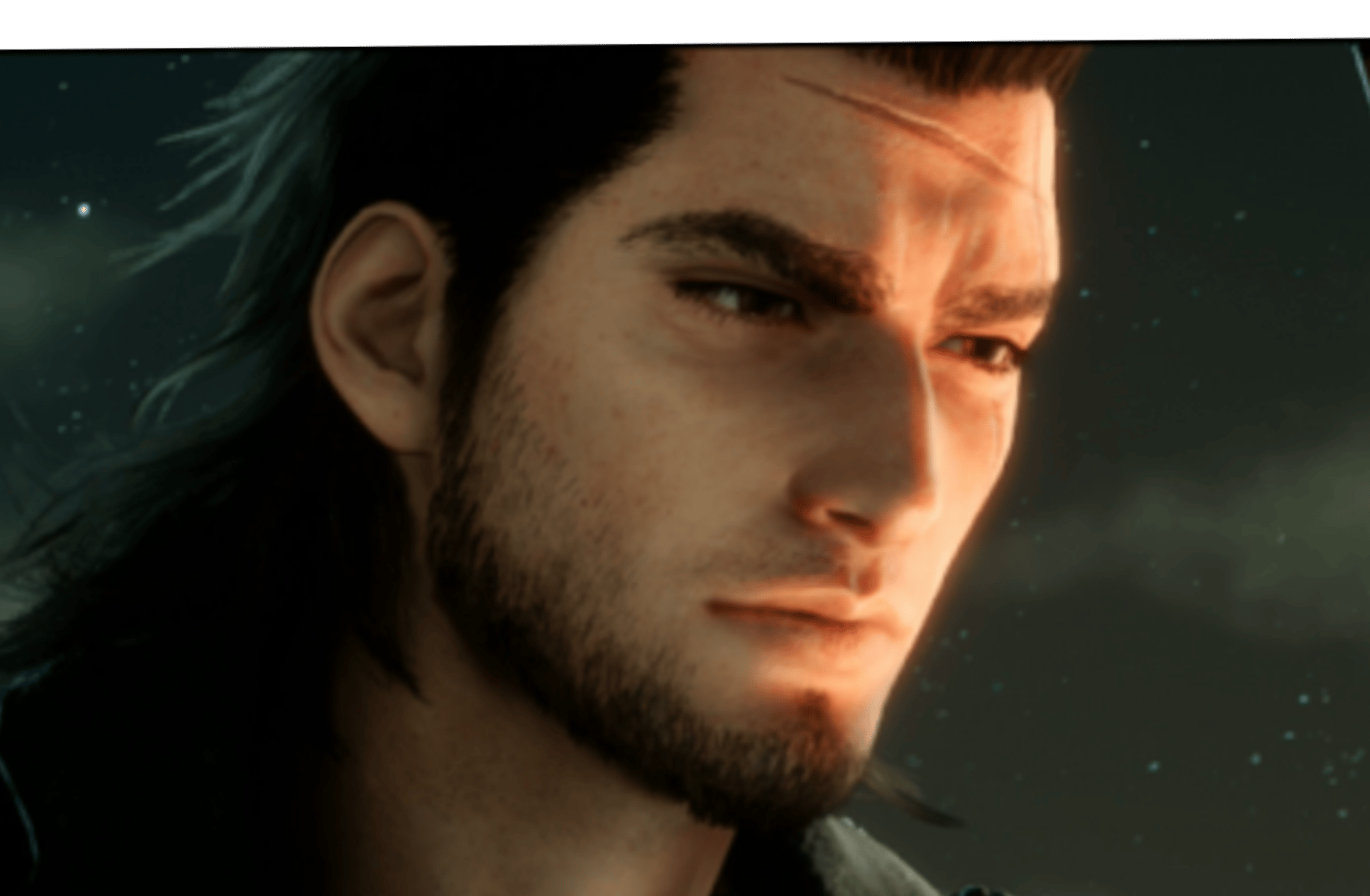 Gladiolus Amicitia