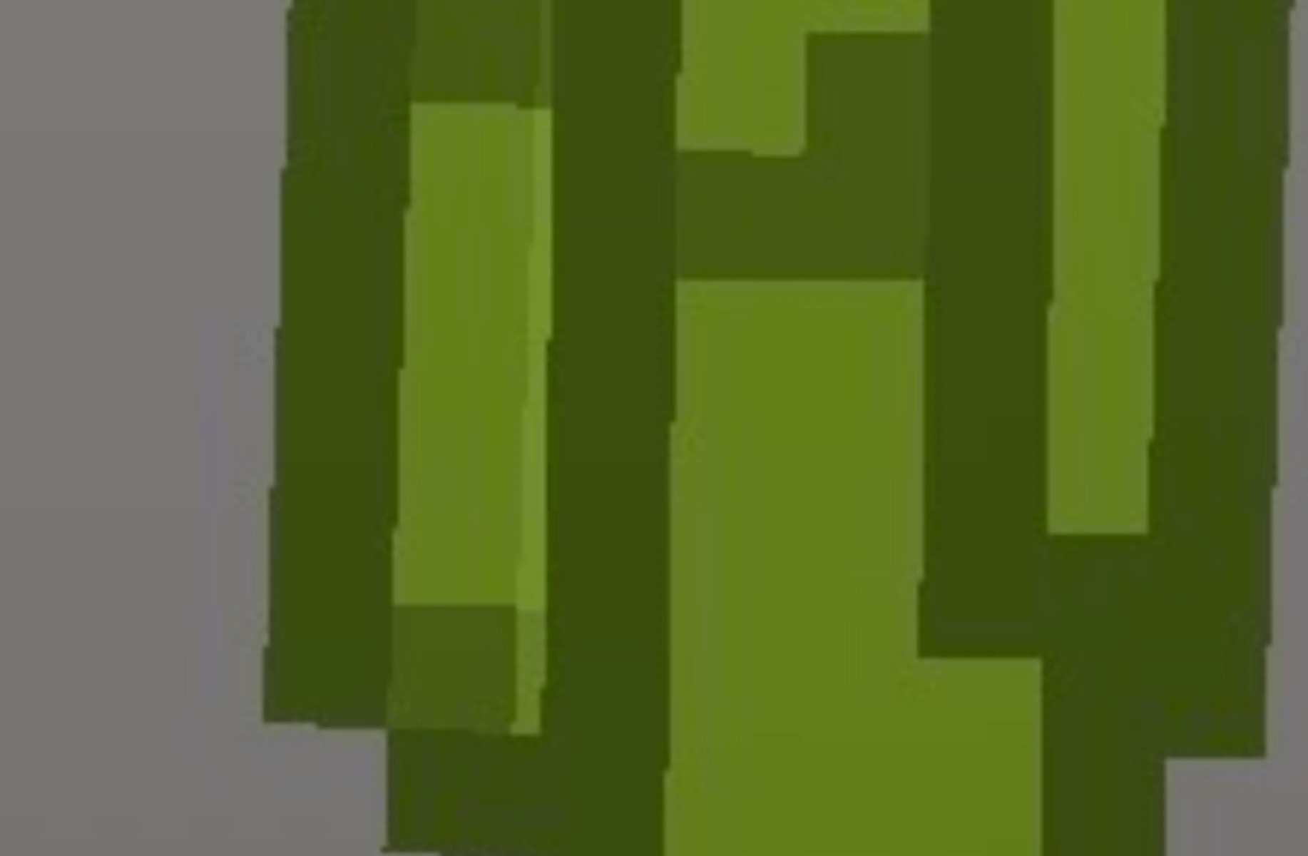 Melon (pregnant)