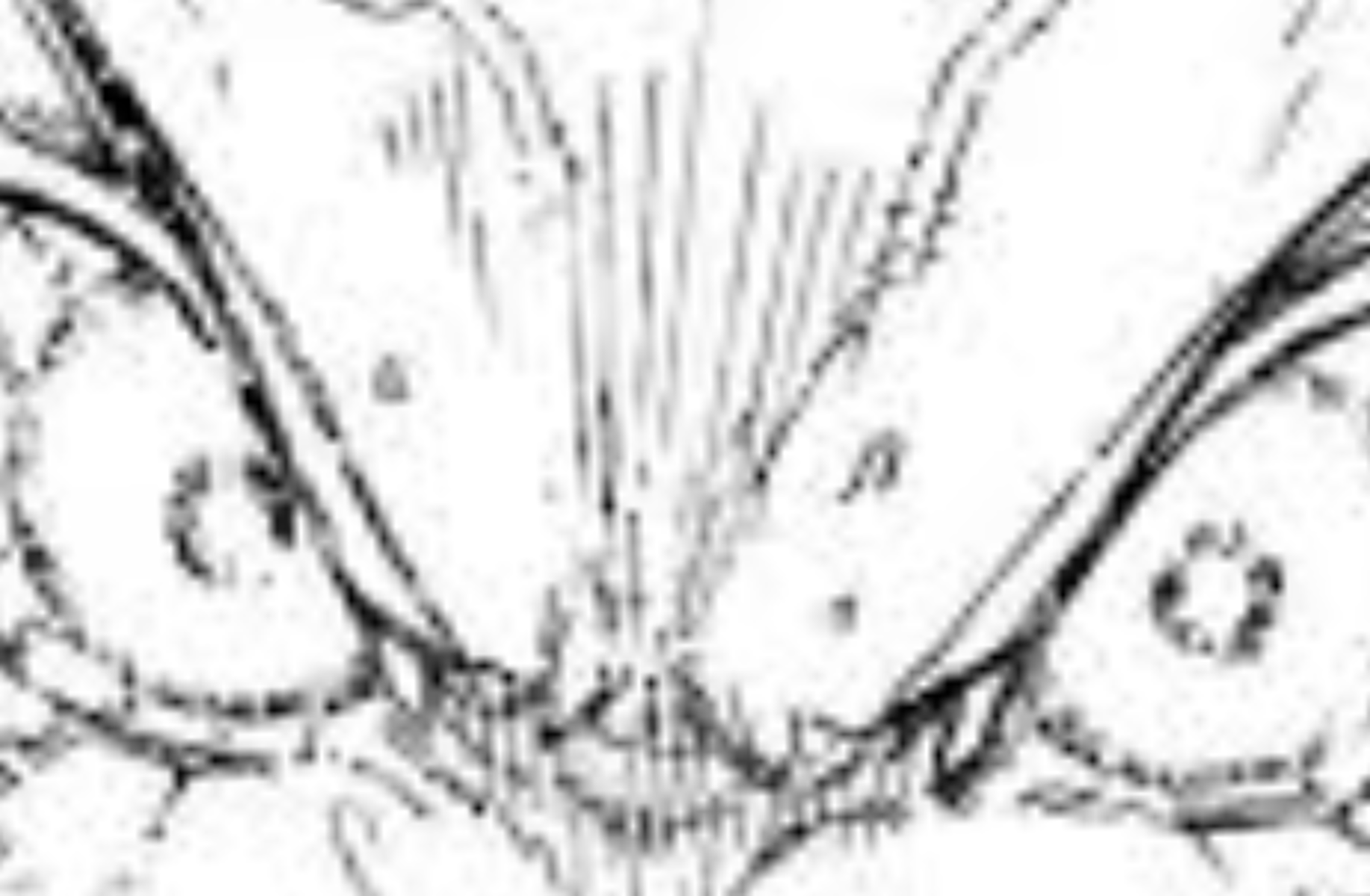 Isagi Yoichi