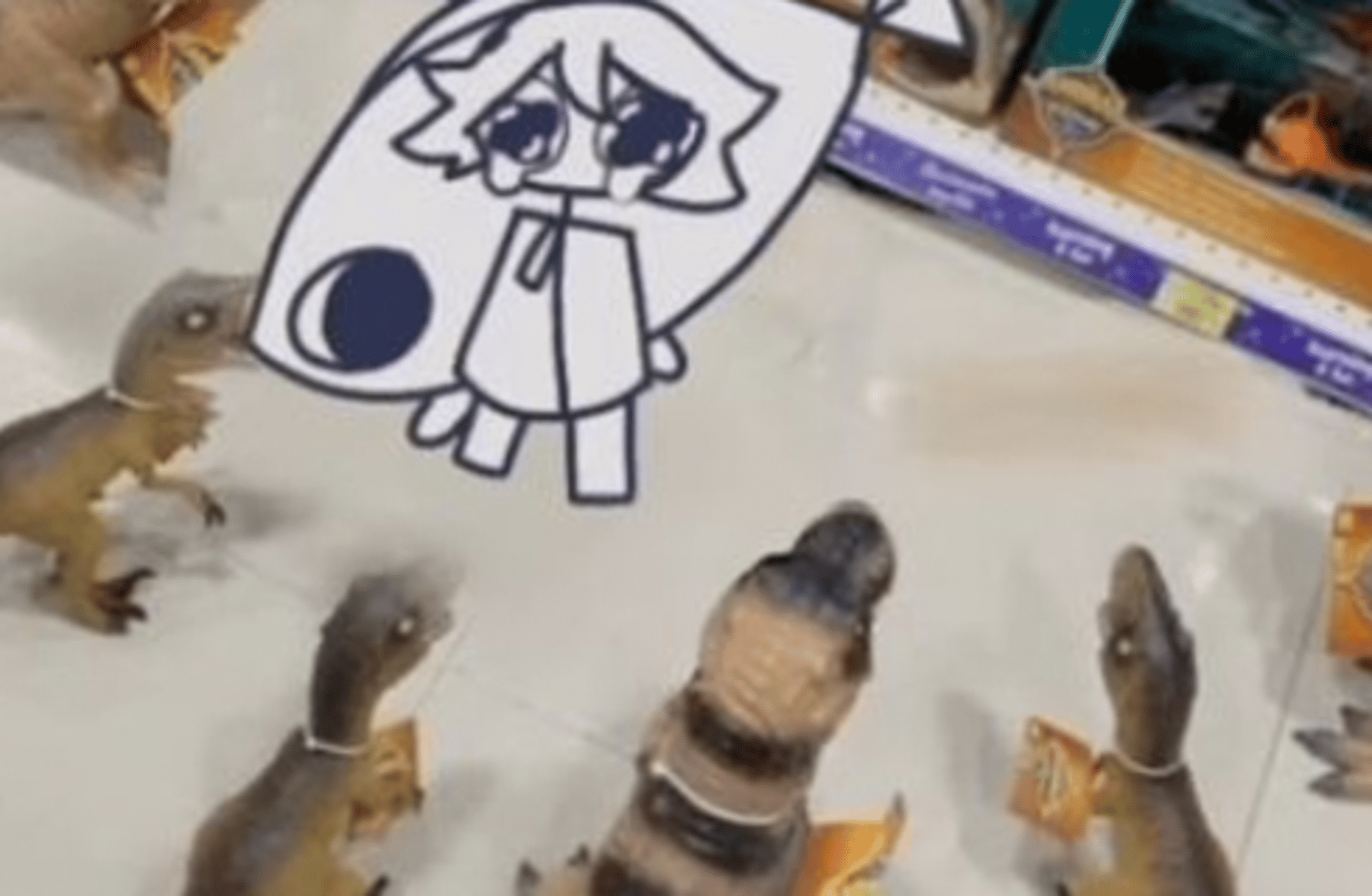 Miss Circle