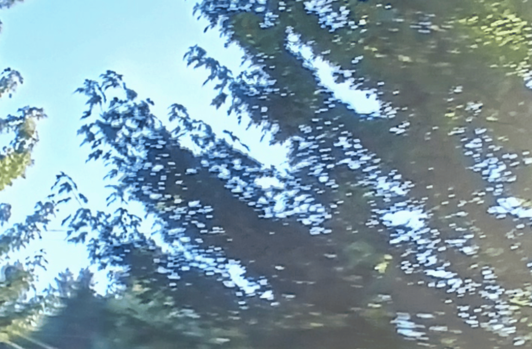 Flamefrags