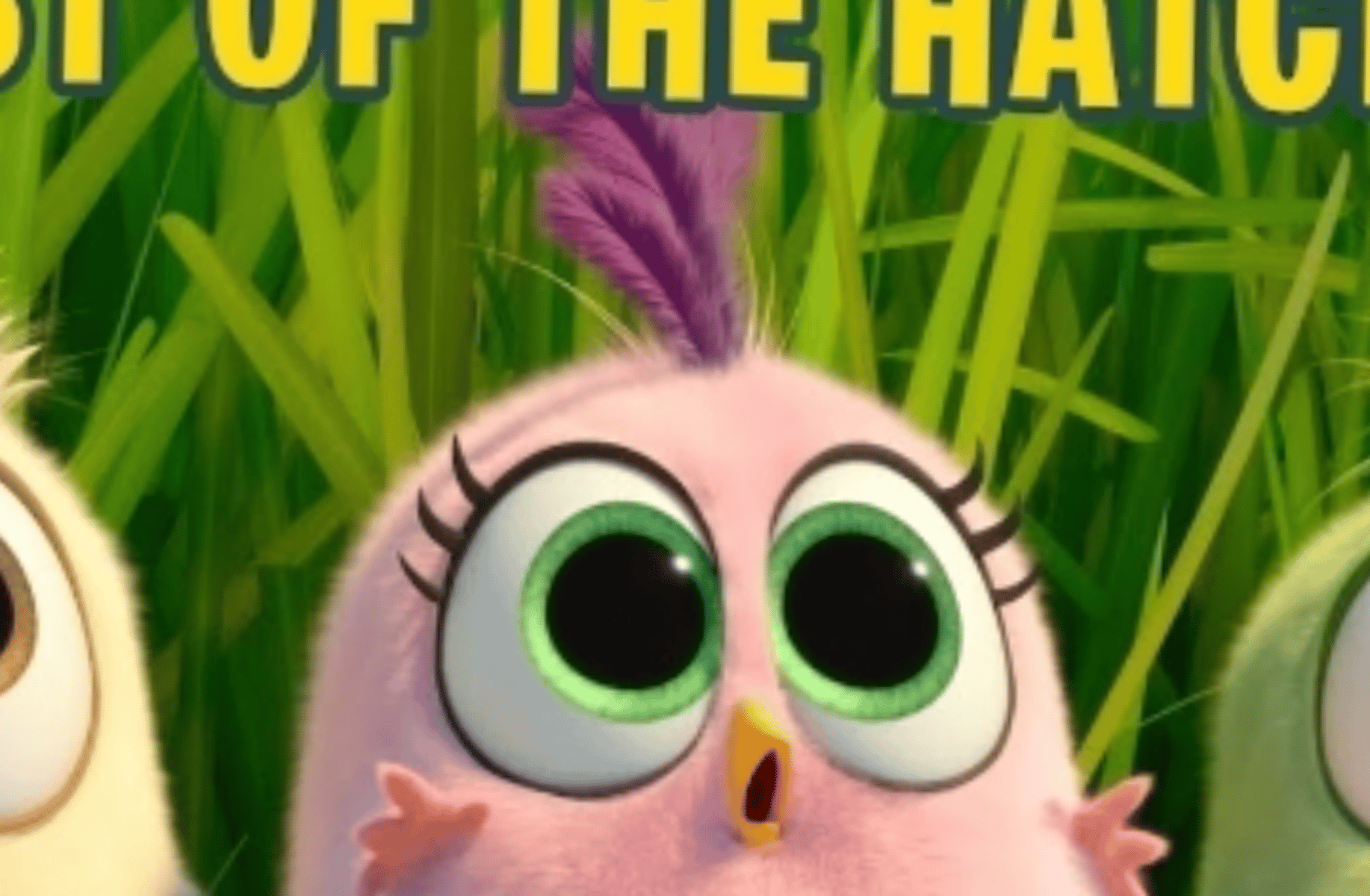 Hatchlings (Angry Birds)