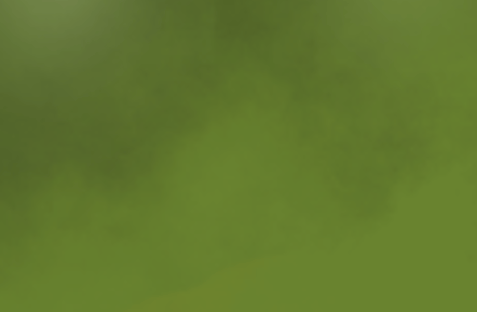 Toodles farts on gourdy