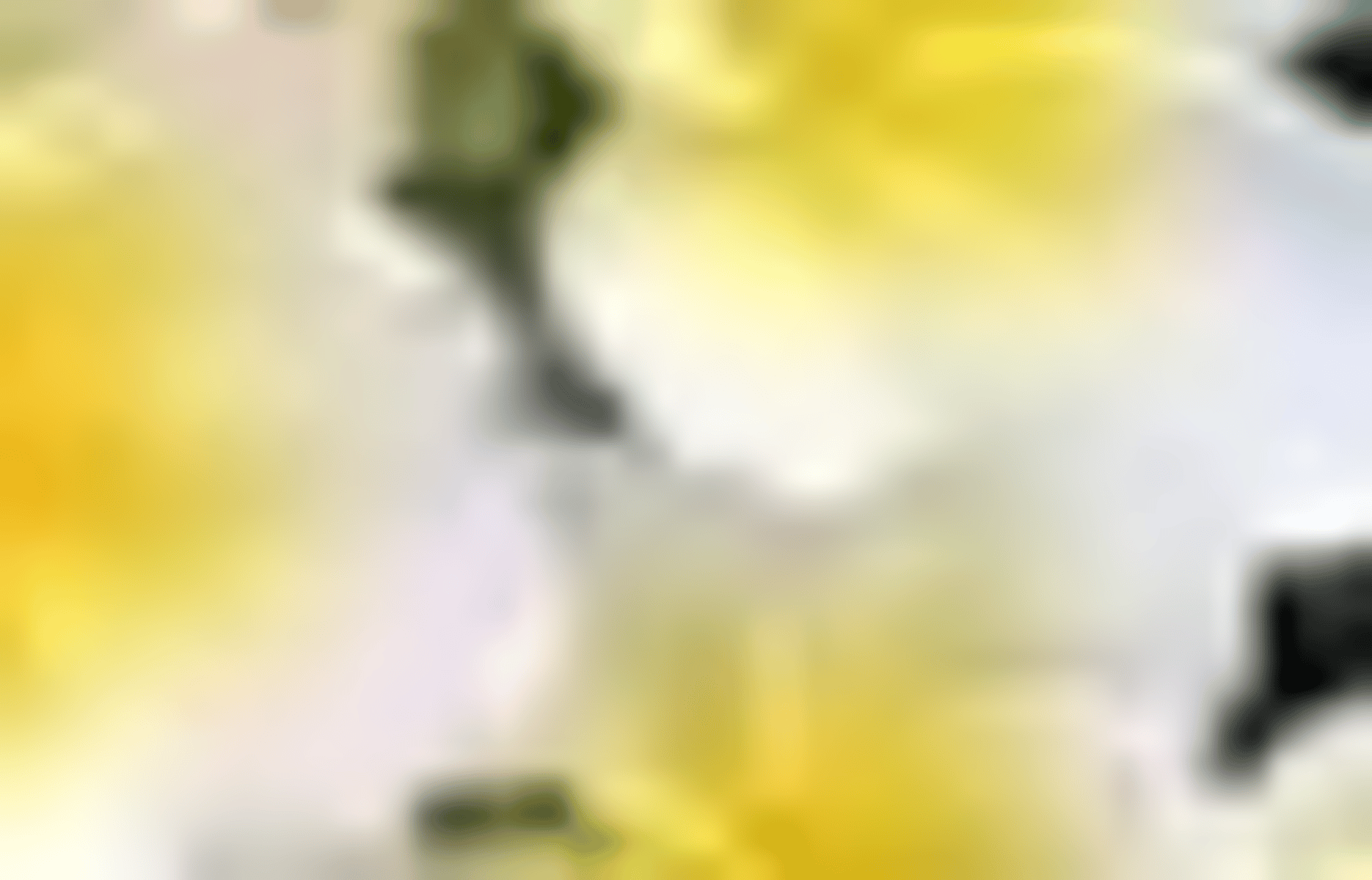 Ally (pick me friend)