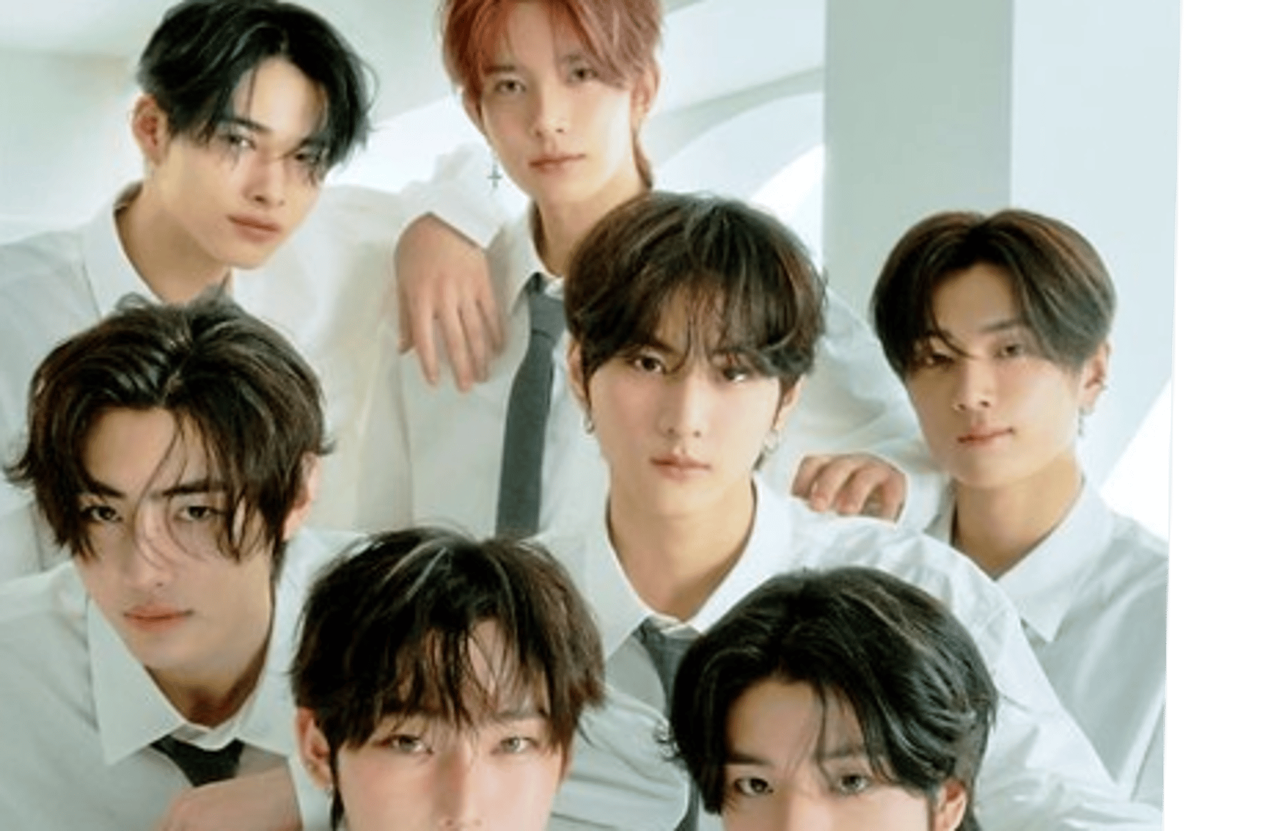 half brothers