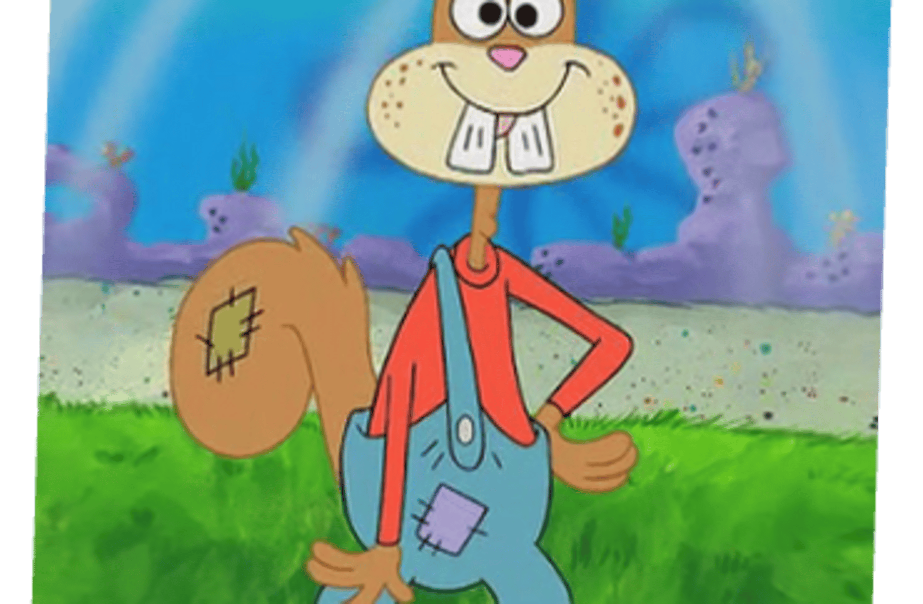 Sandy cheeks