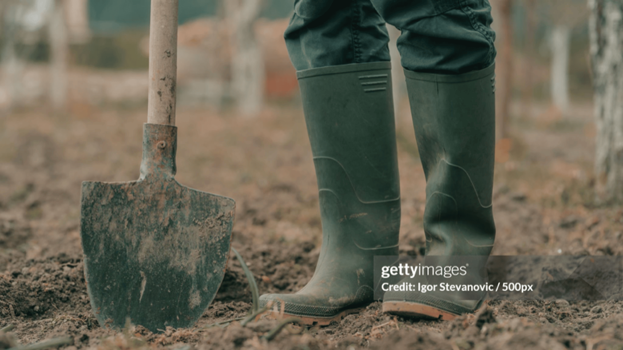Farmer