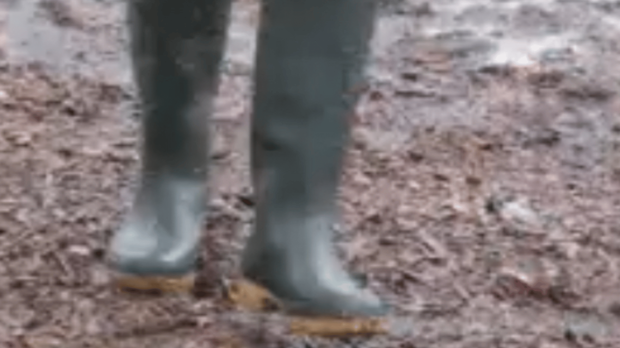Heavy rain goers