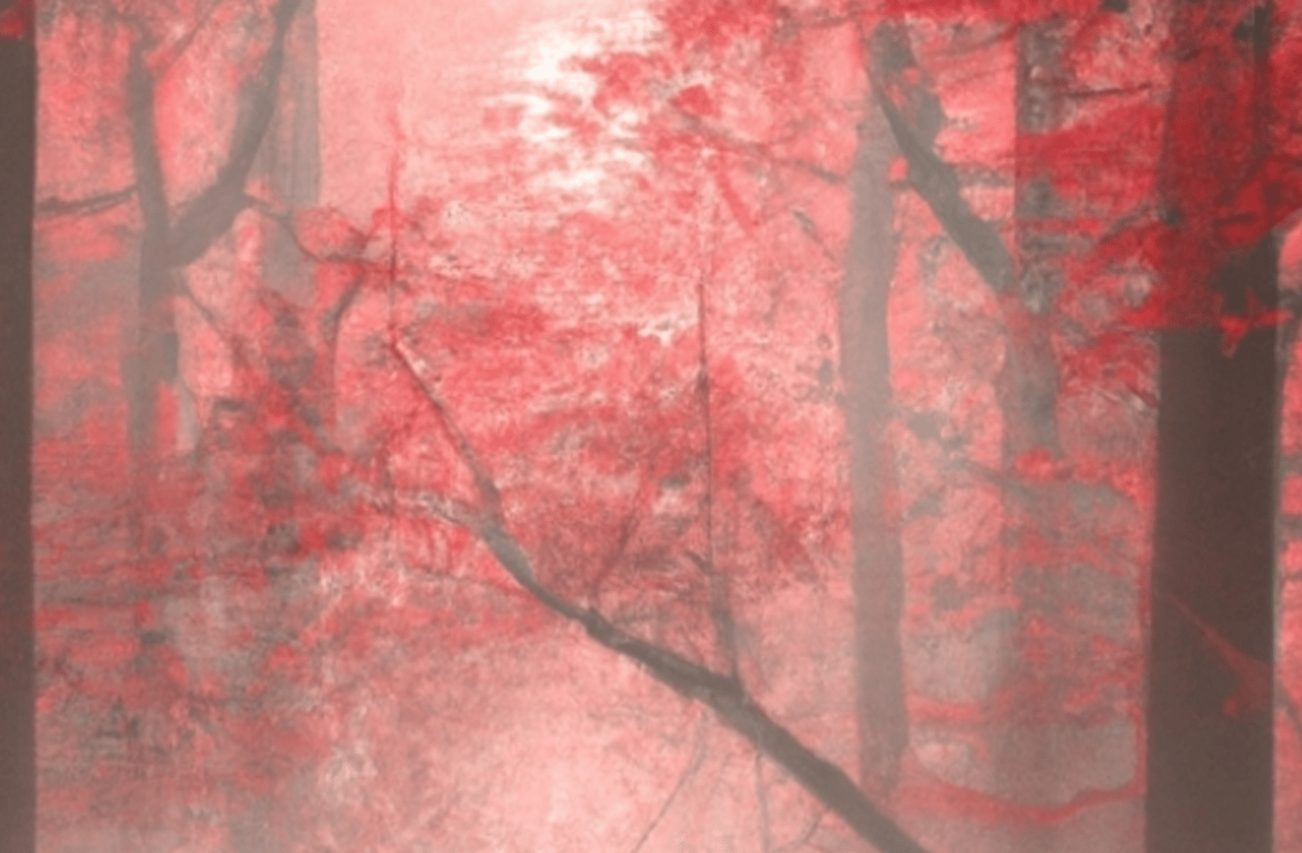 Gloom