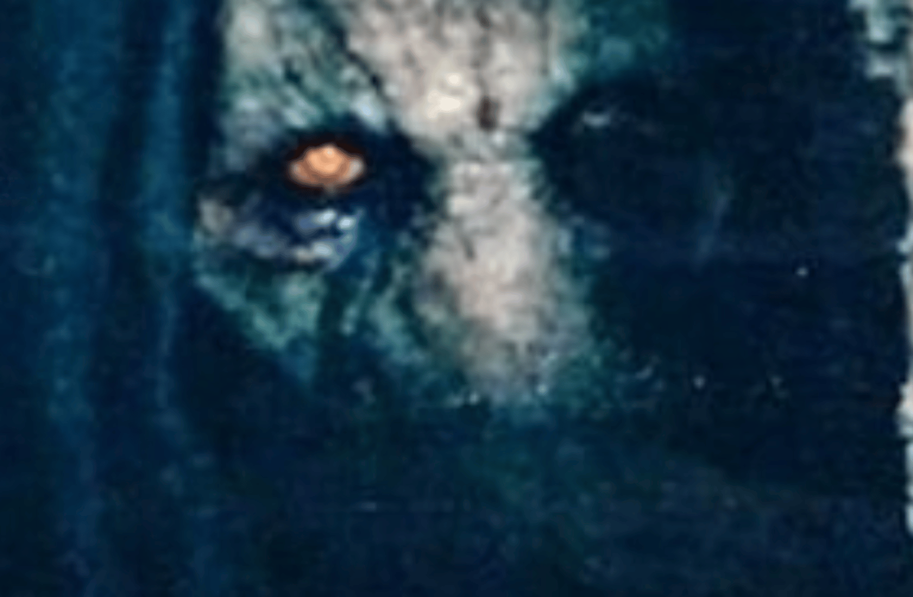 Darth Plagueis