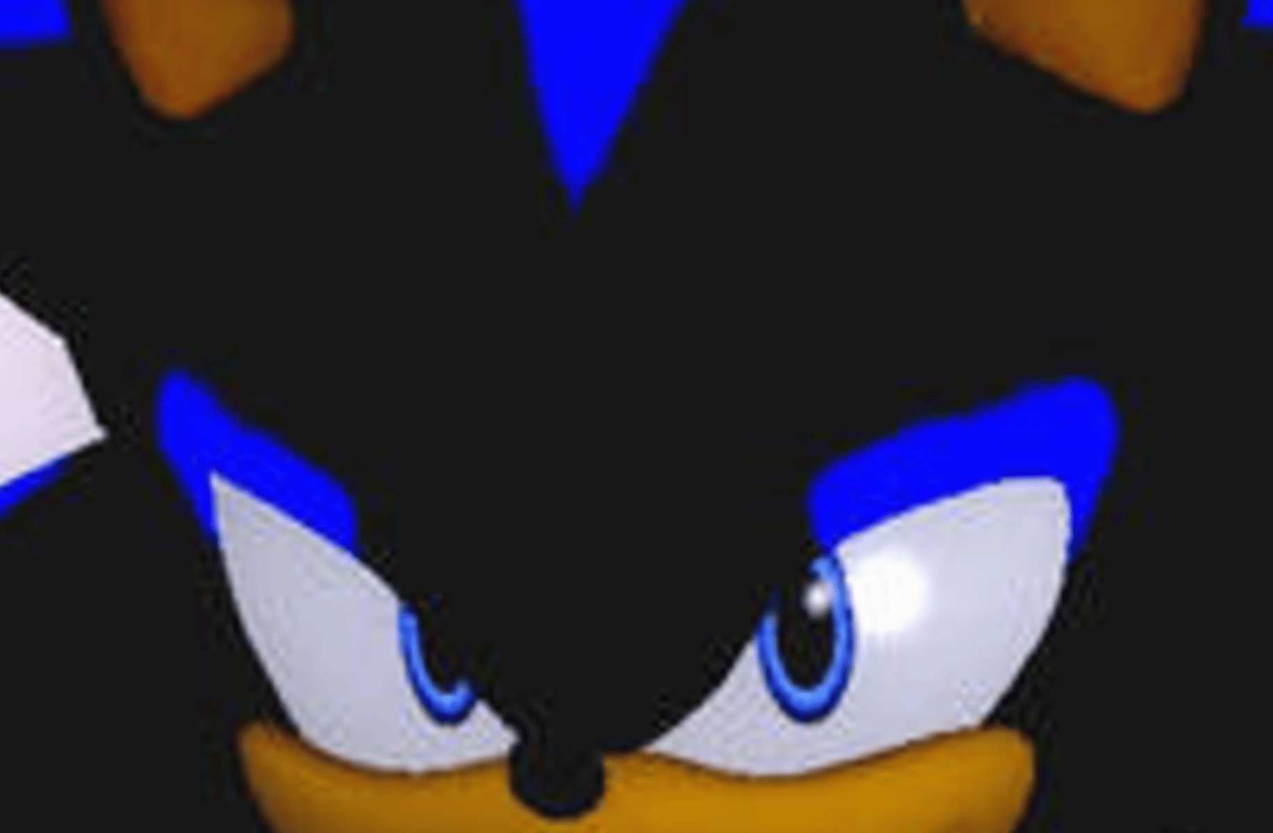 Seelkadoom the Hedgehog