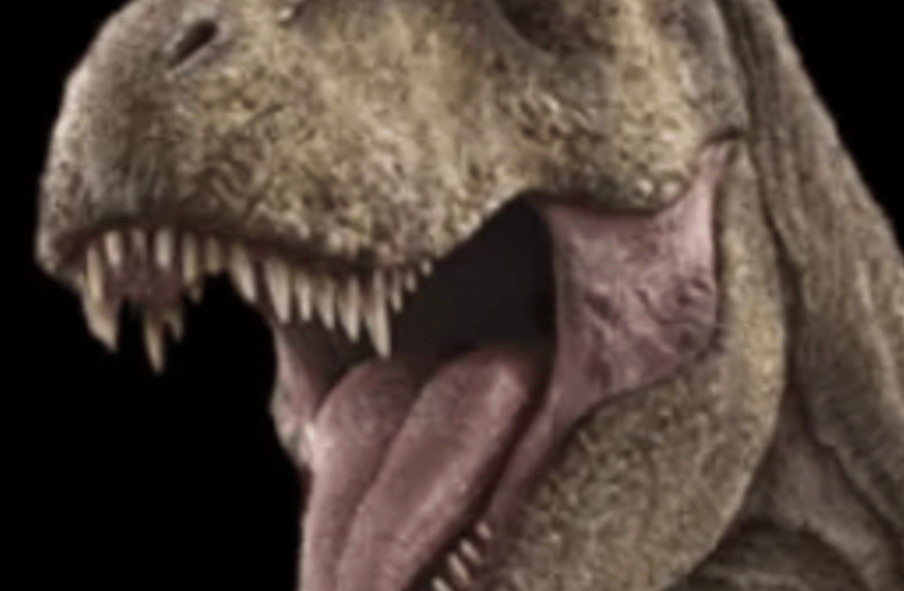 Rexy