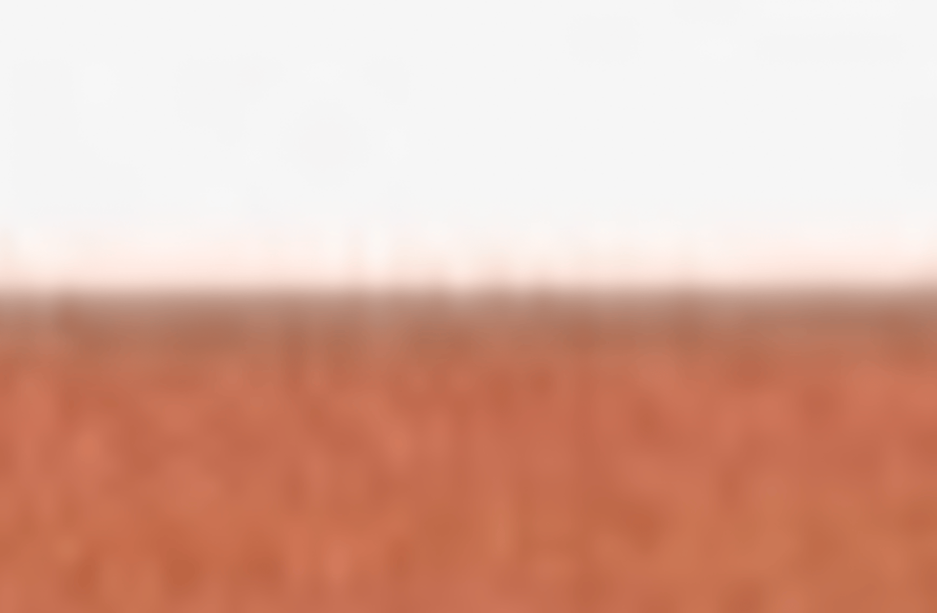 Poland countryhuman fem