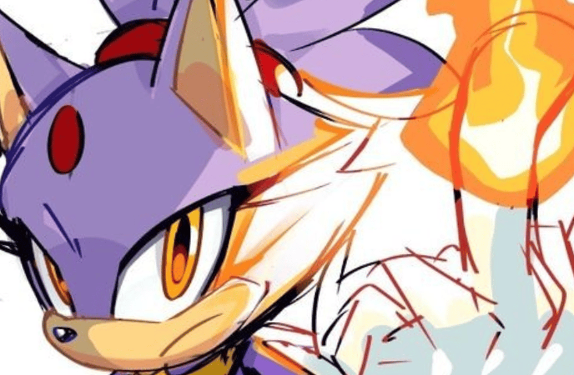 Blaze the cat