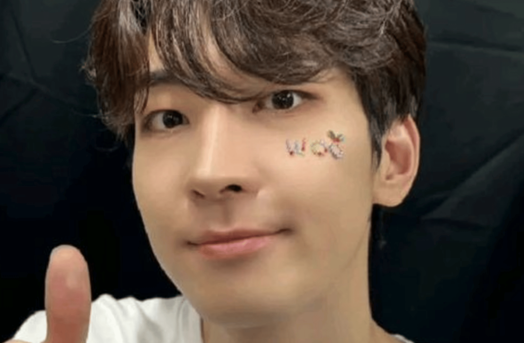 Jeon wonwoo