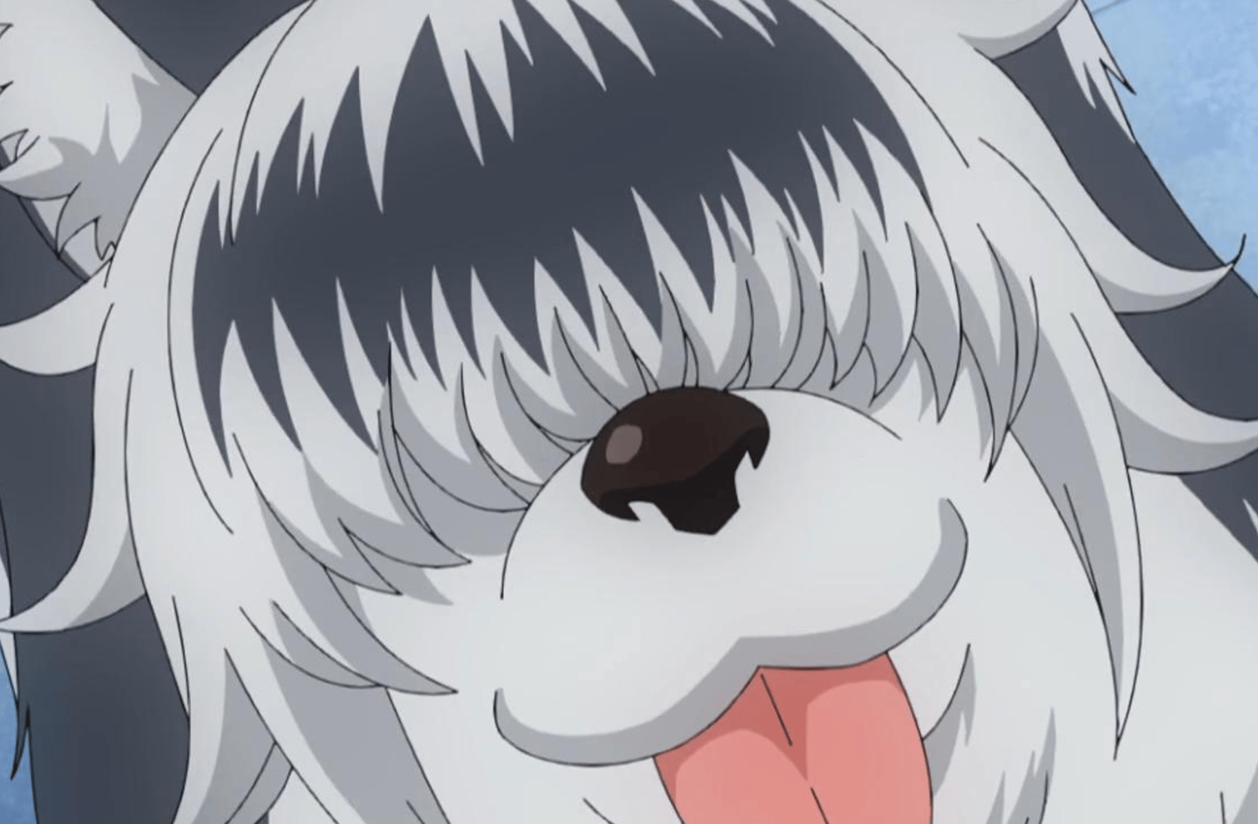 Raika (wolfgirl)
