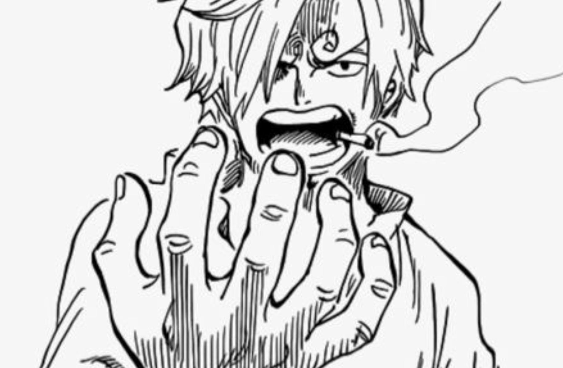 Vinsmoke Sanji