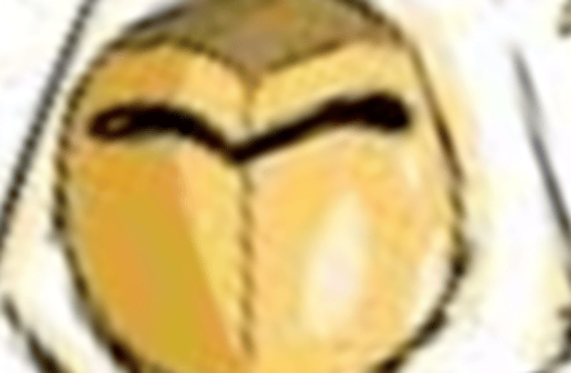 Hunter (Golden Guard)