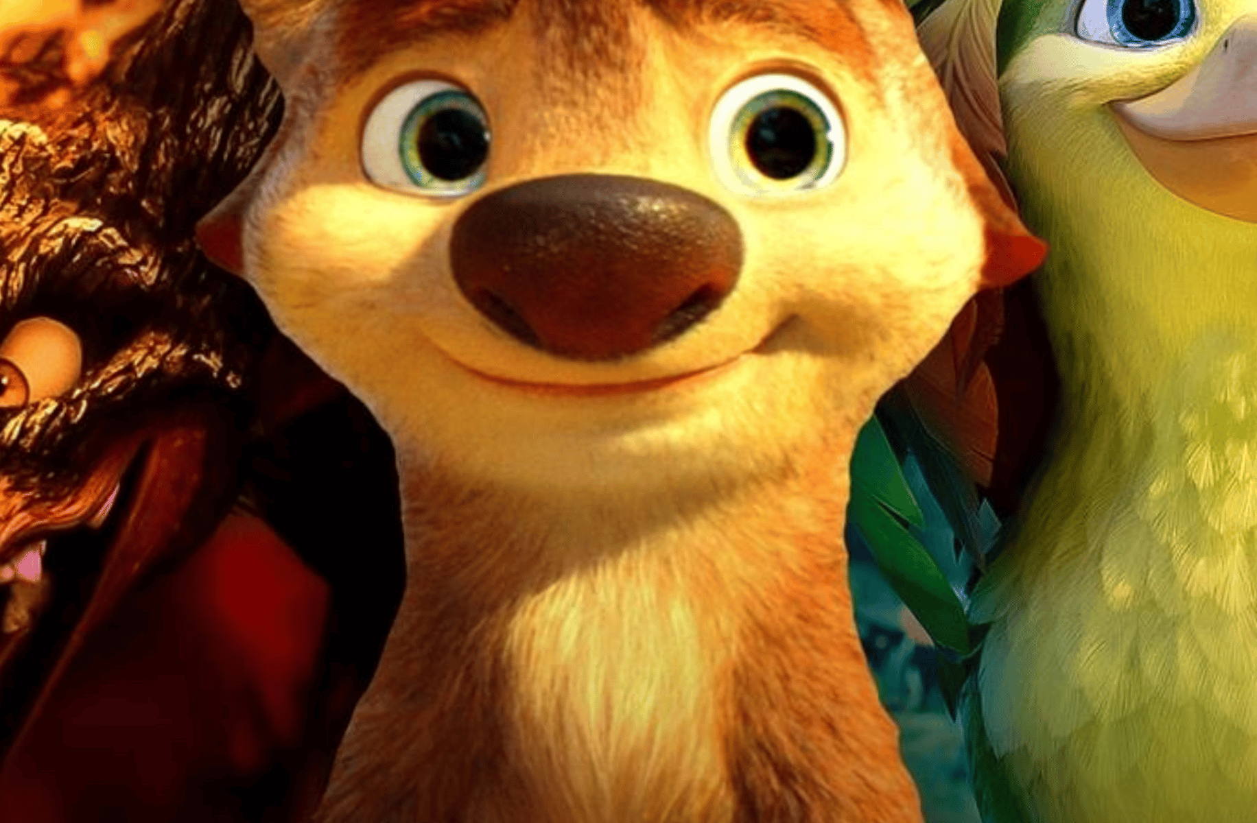 Ollie pookoo