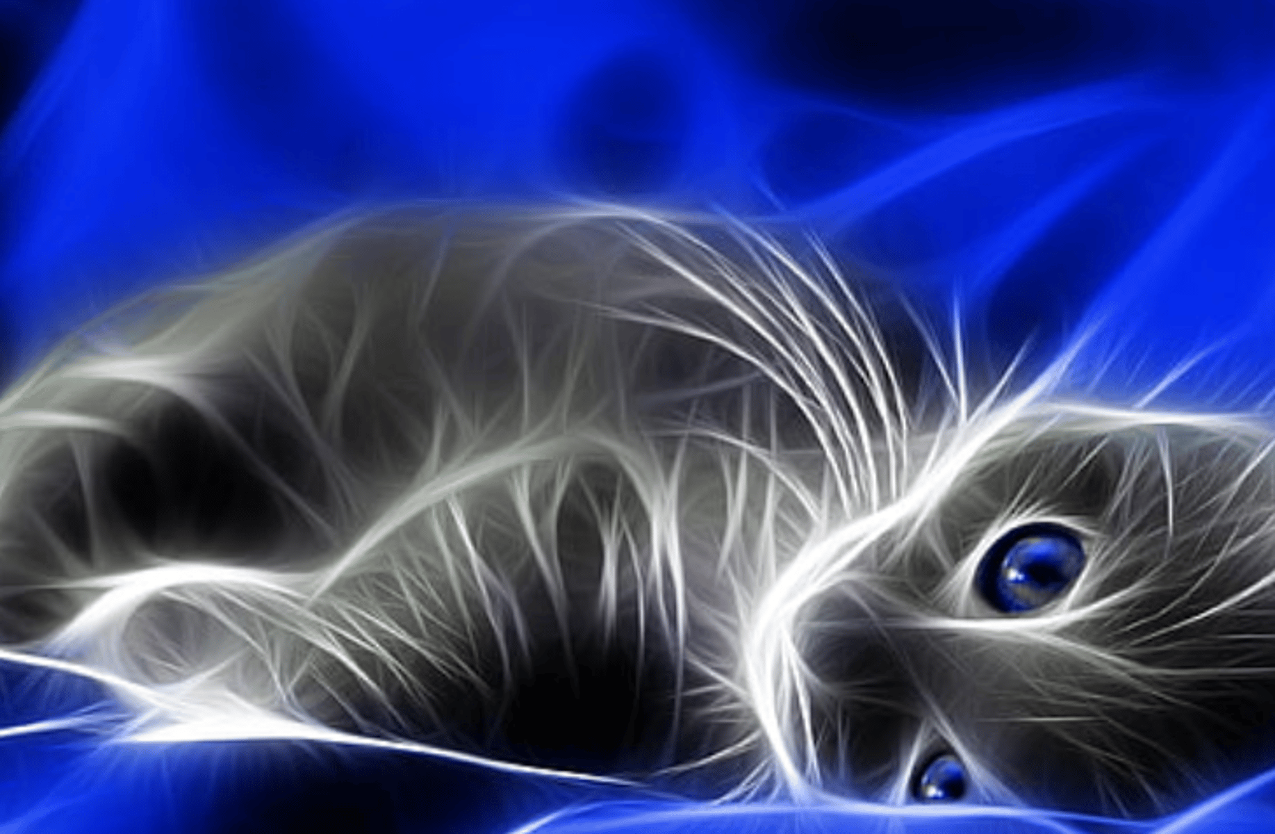 Pisces