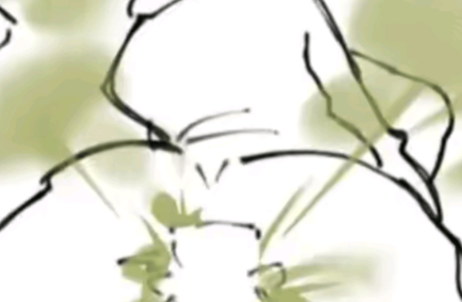 Gigi farts on finn(fart!)