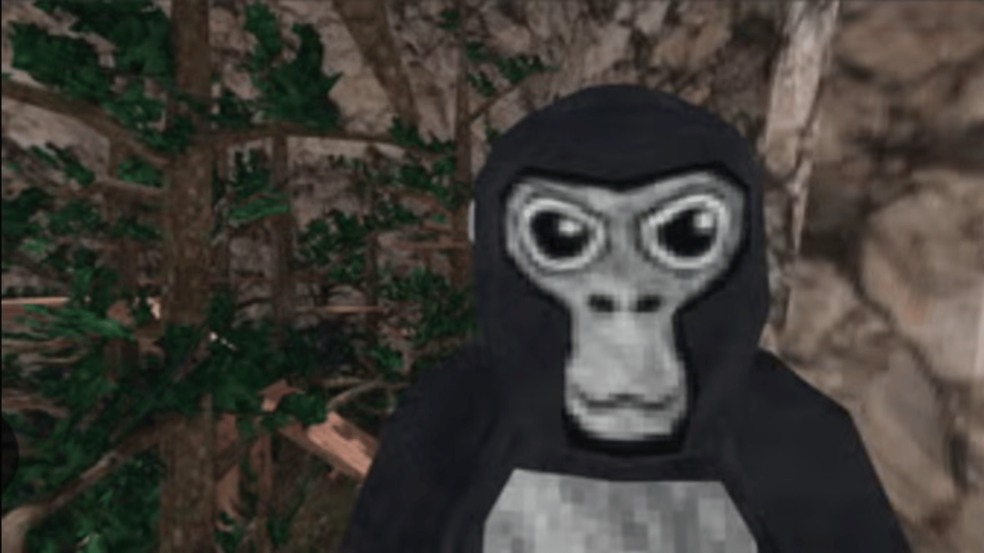 Gtag monkey