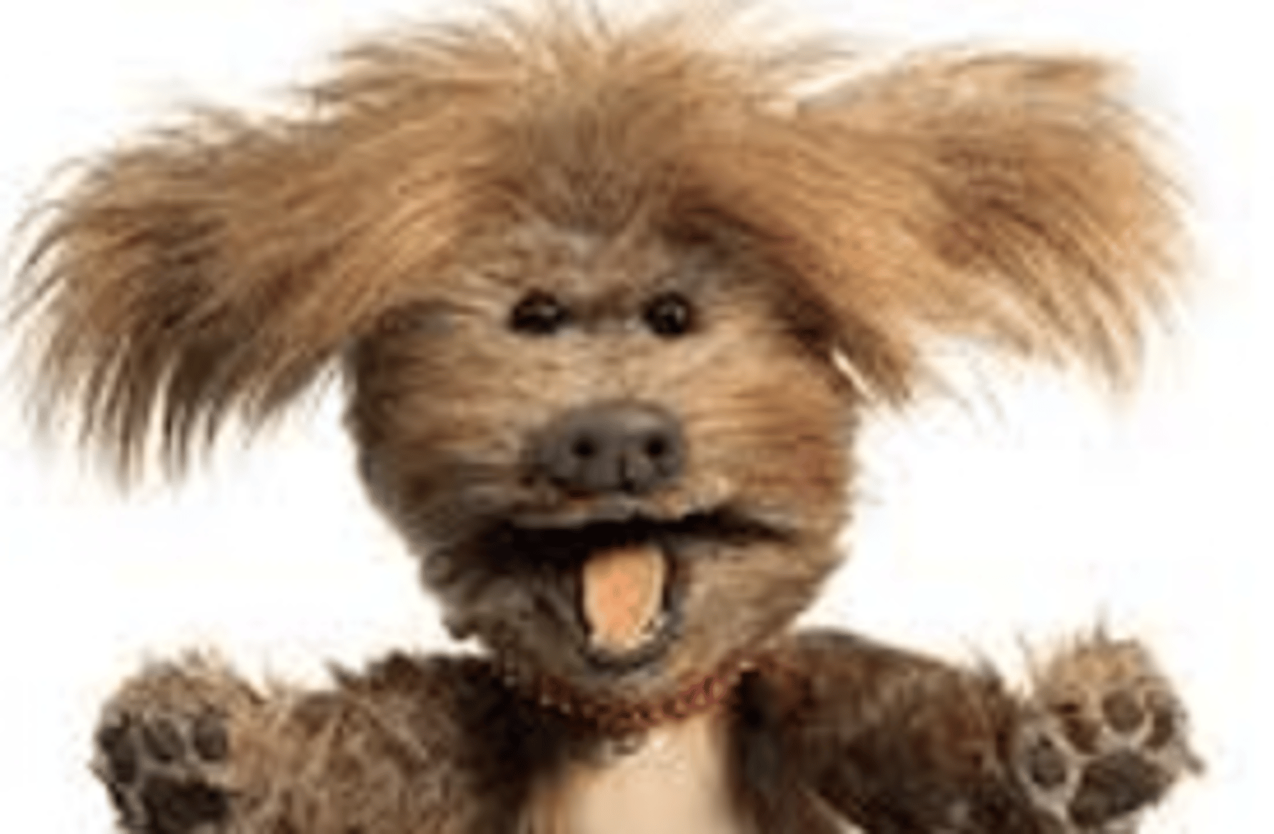 Dodge T. Dog (CBBC)