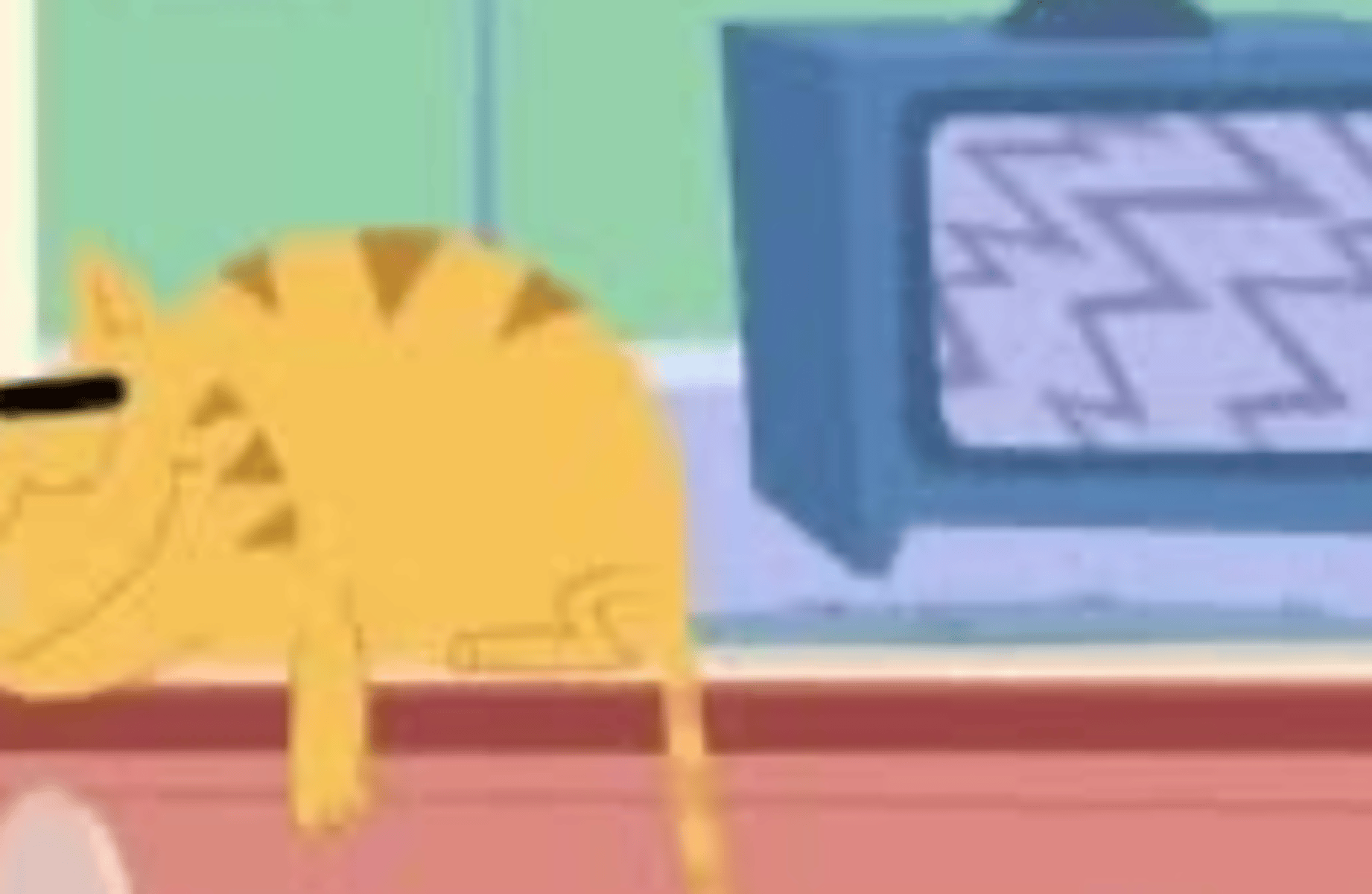 Dom the cat