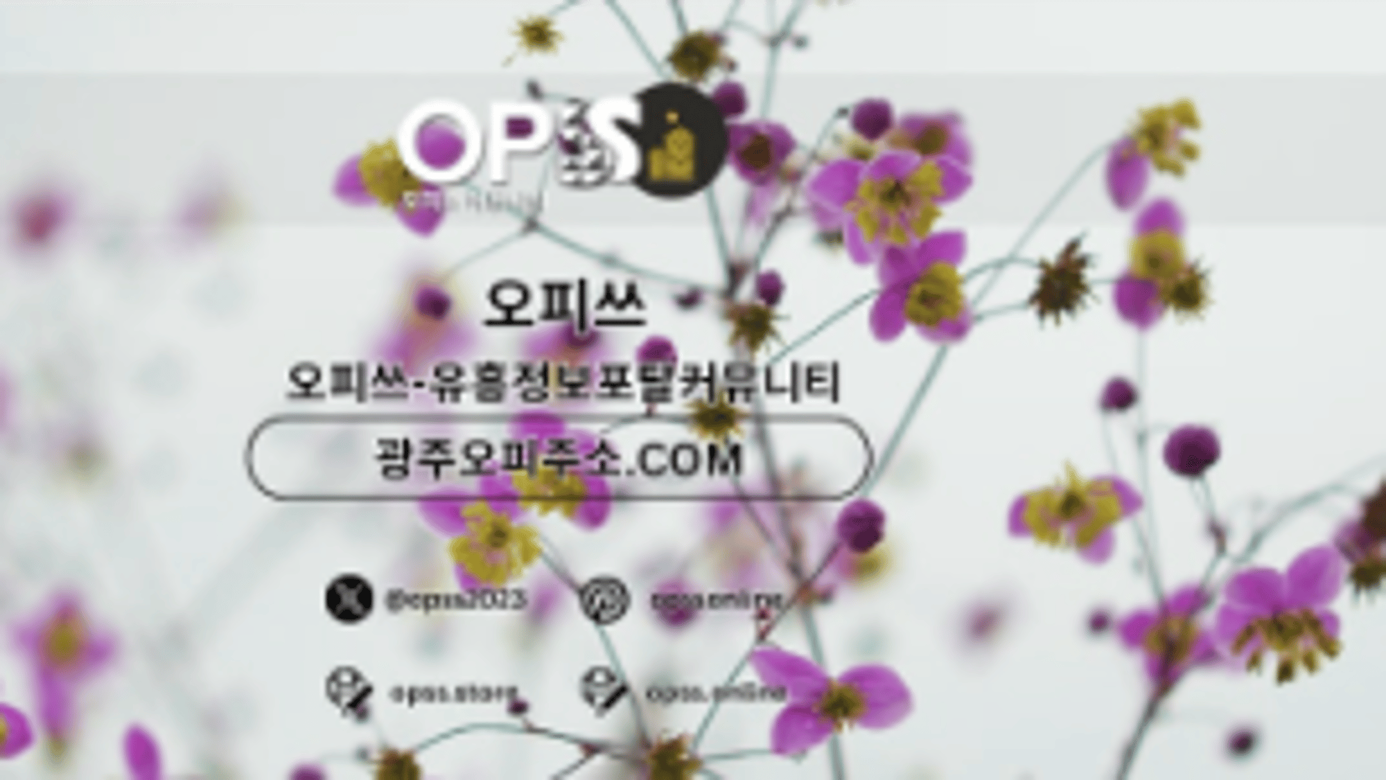 gangnamchuljangmassage