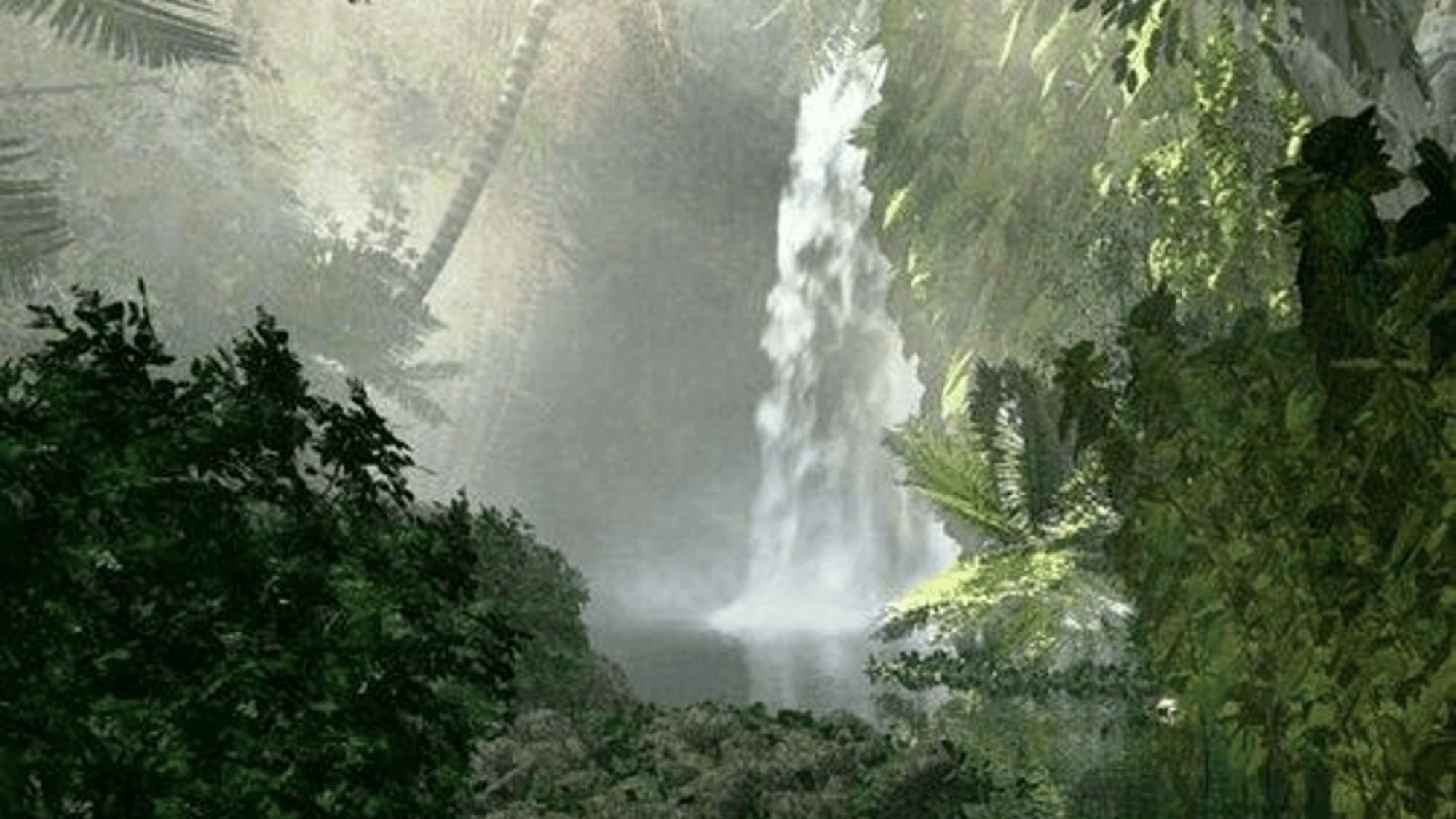 Amazon Rainforest