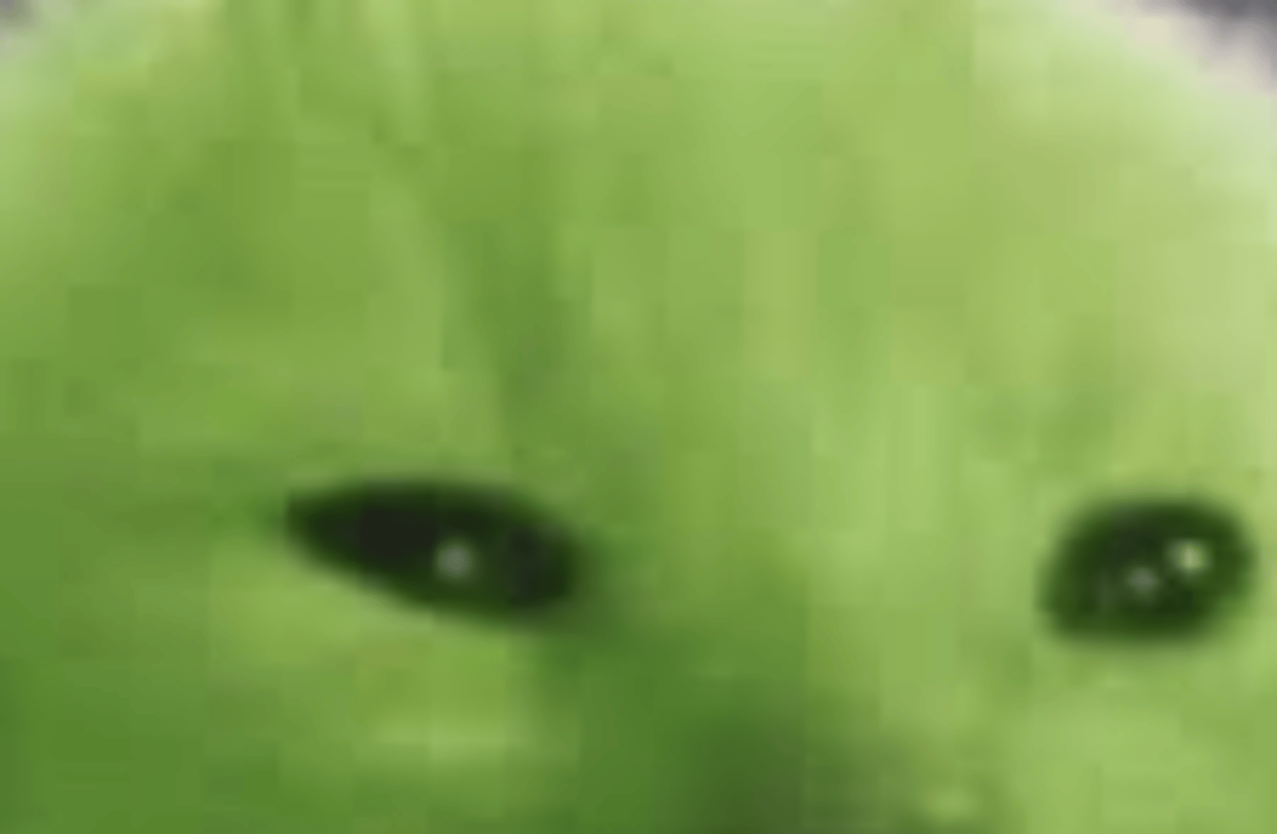 yuo