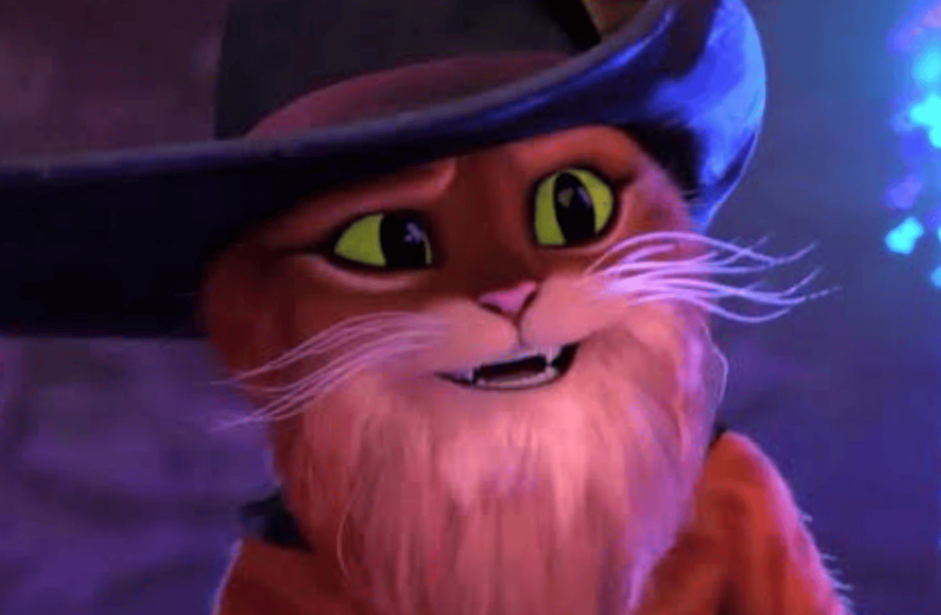 Puss in boots