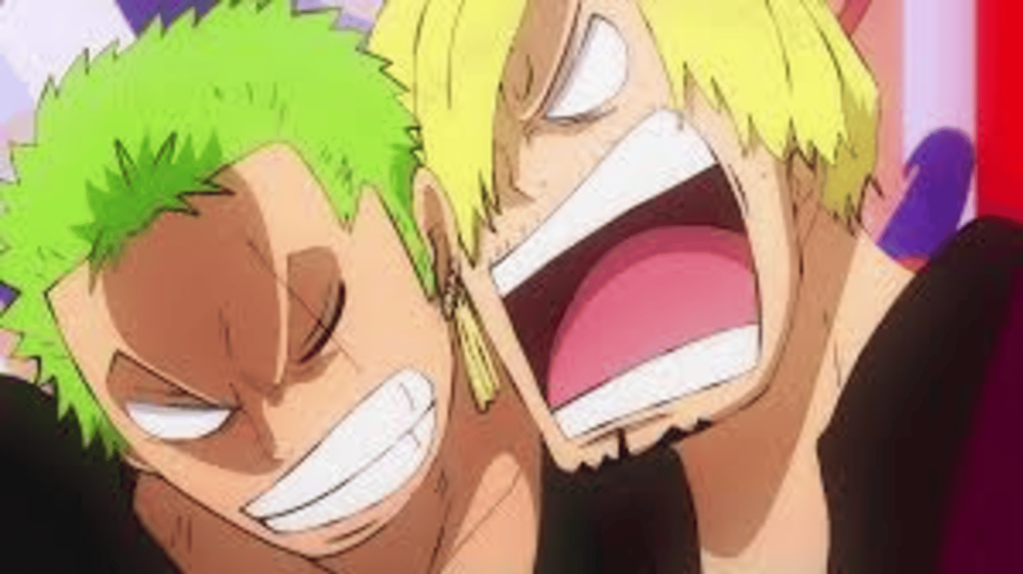 Sanji and Zoro