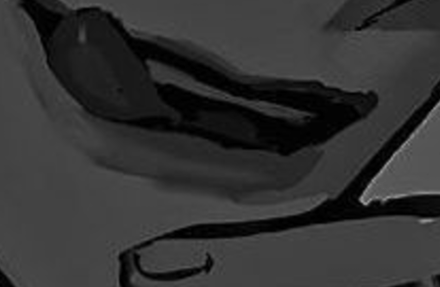 Xander (your gay bully)