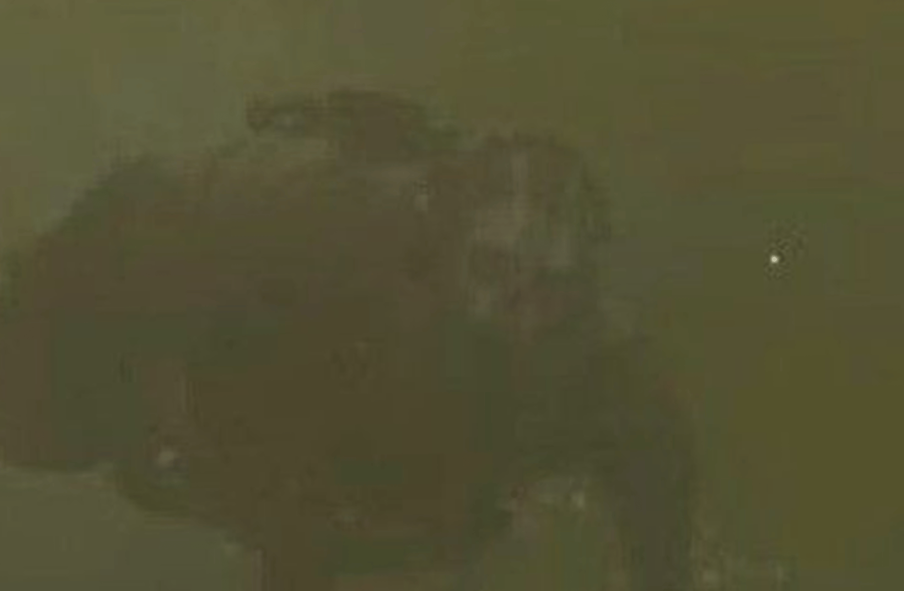 Tf141