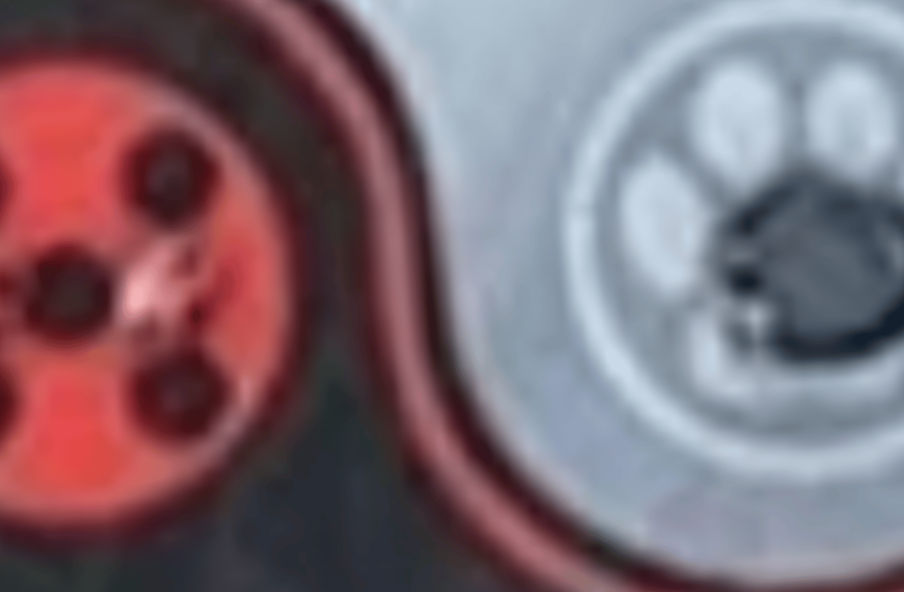 Miraculous