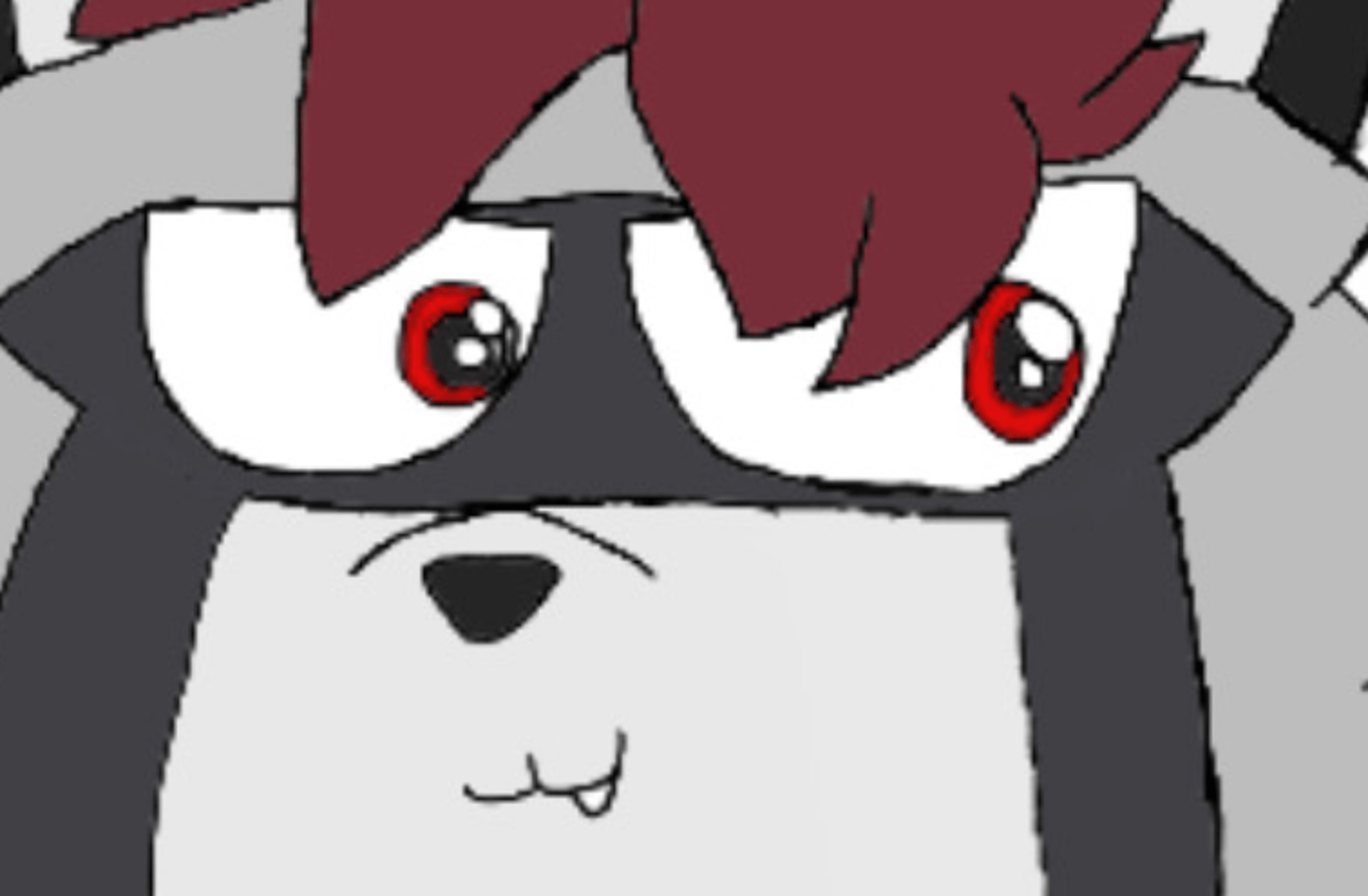 Zach The Raccoon