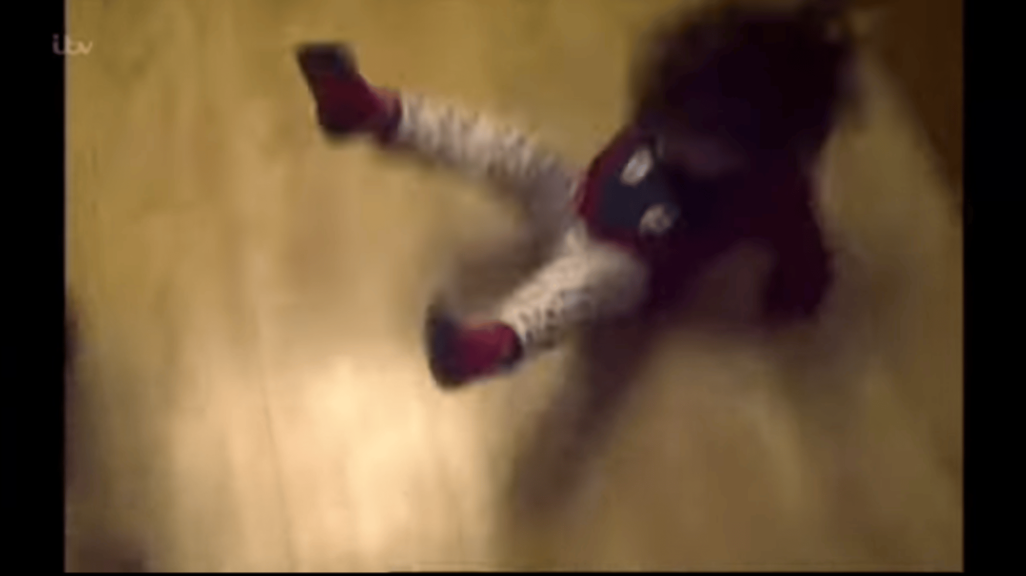 Boy