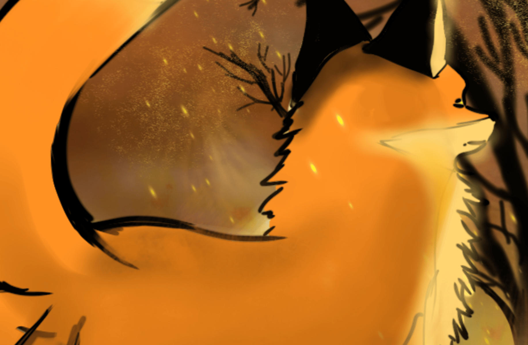 Nova Morningstar