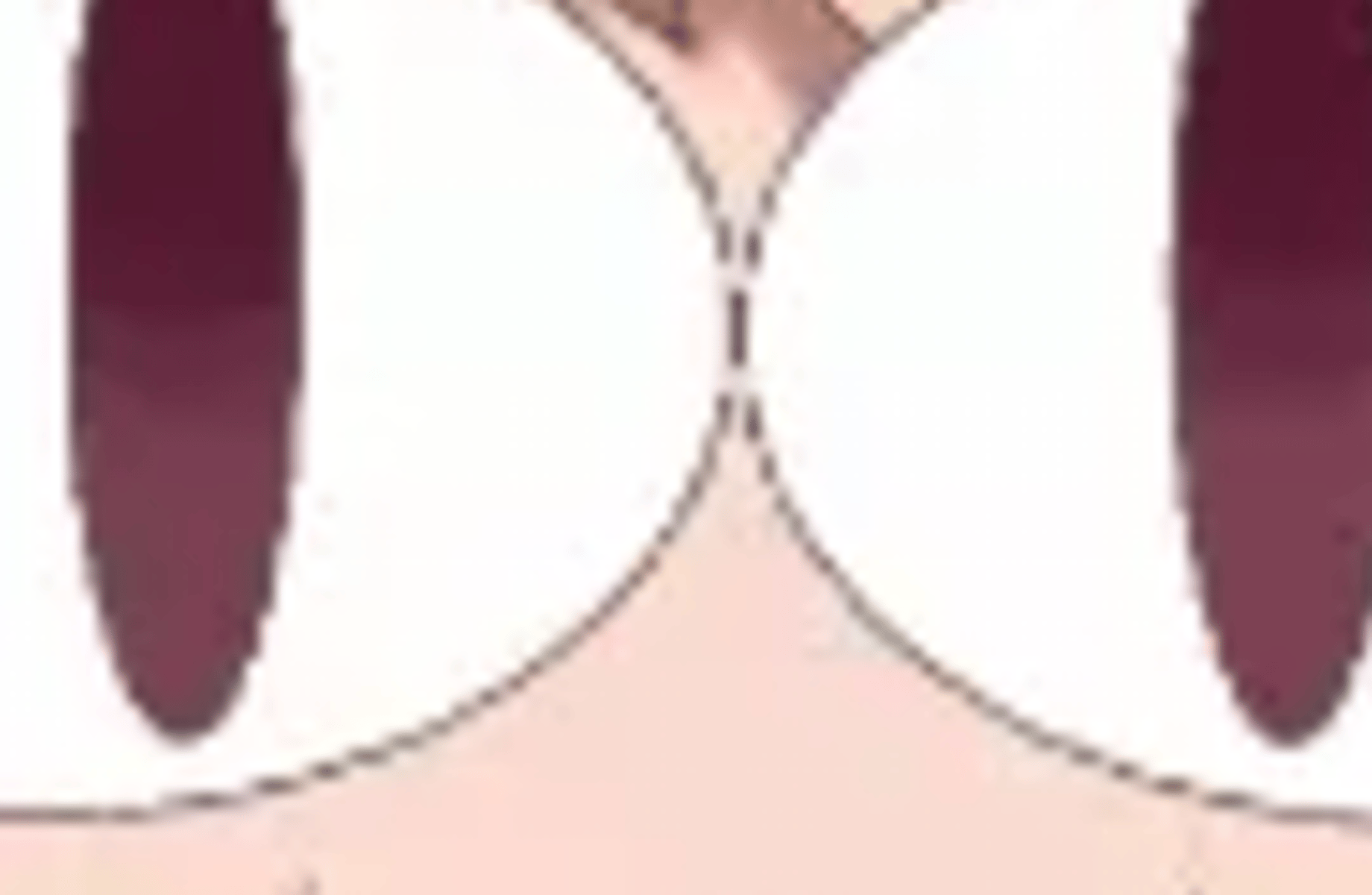 Neco Arc