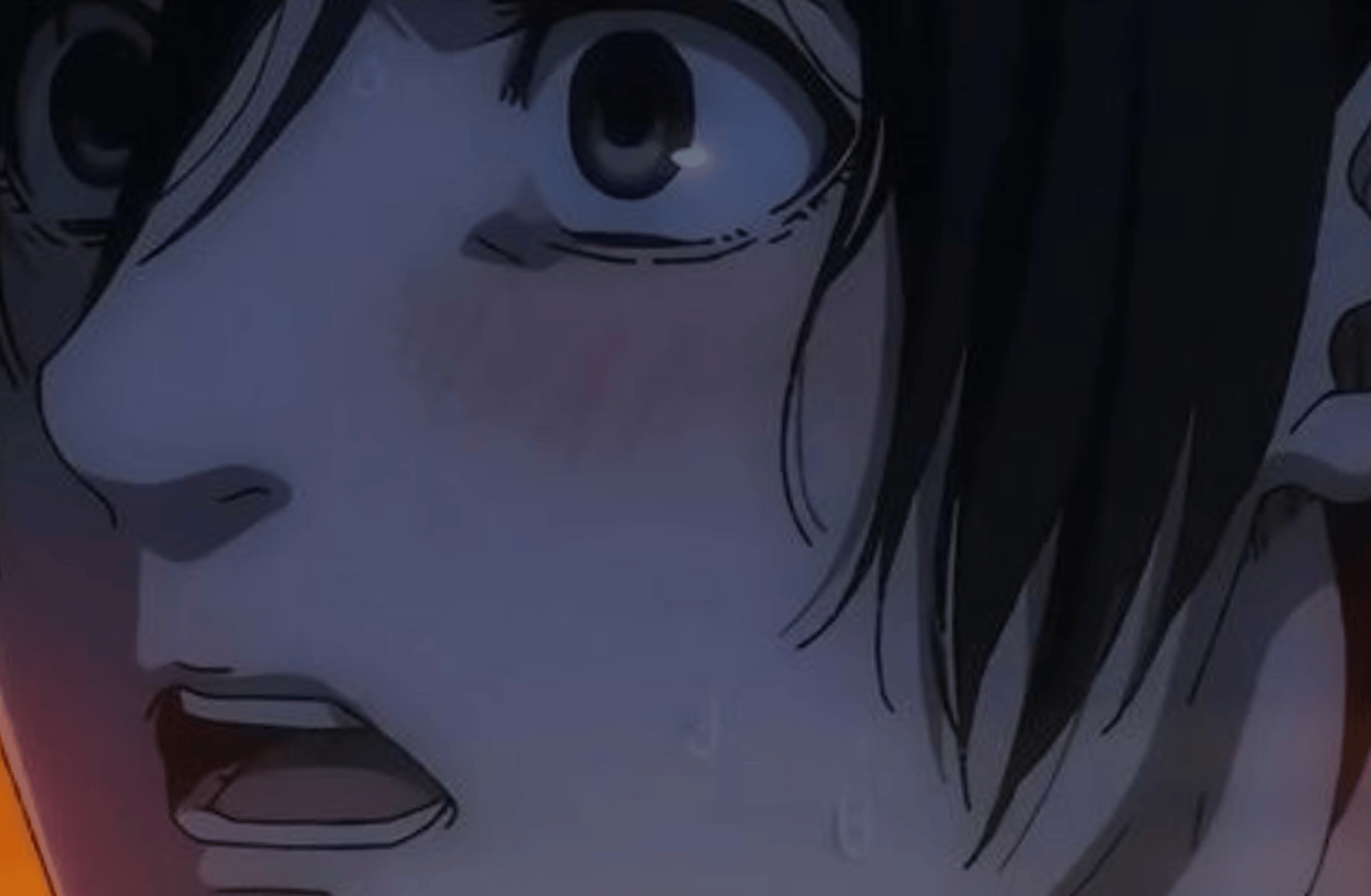 Mikasa