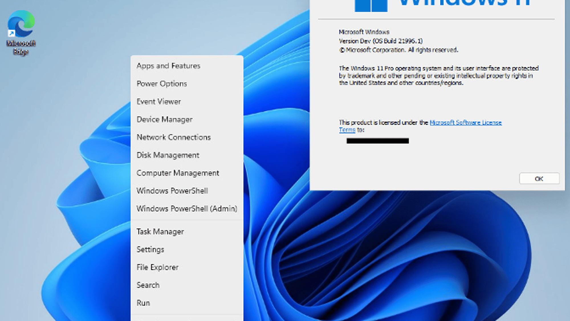 Windows 11
