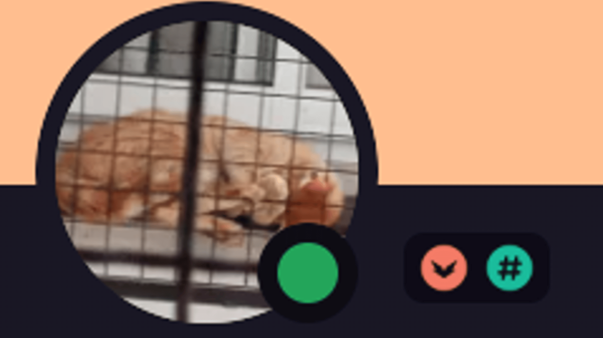 zai