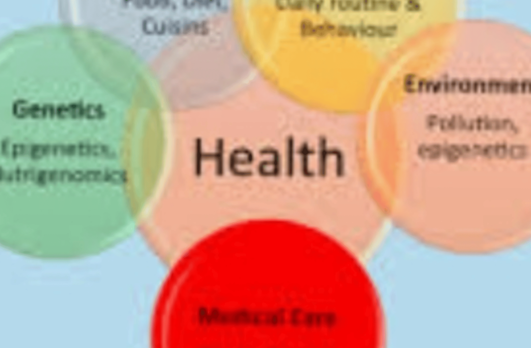 Ai Institute of Health
