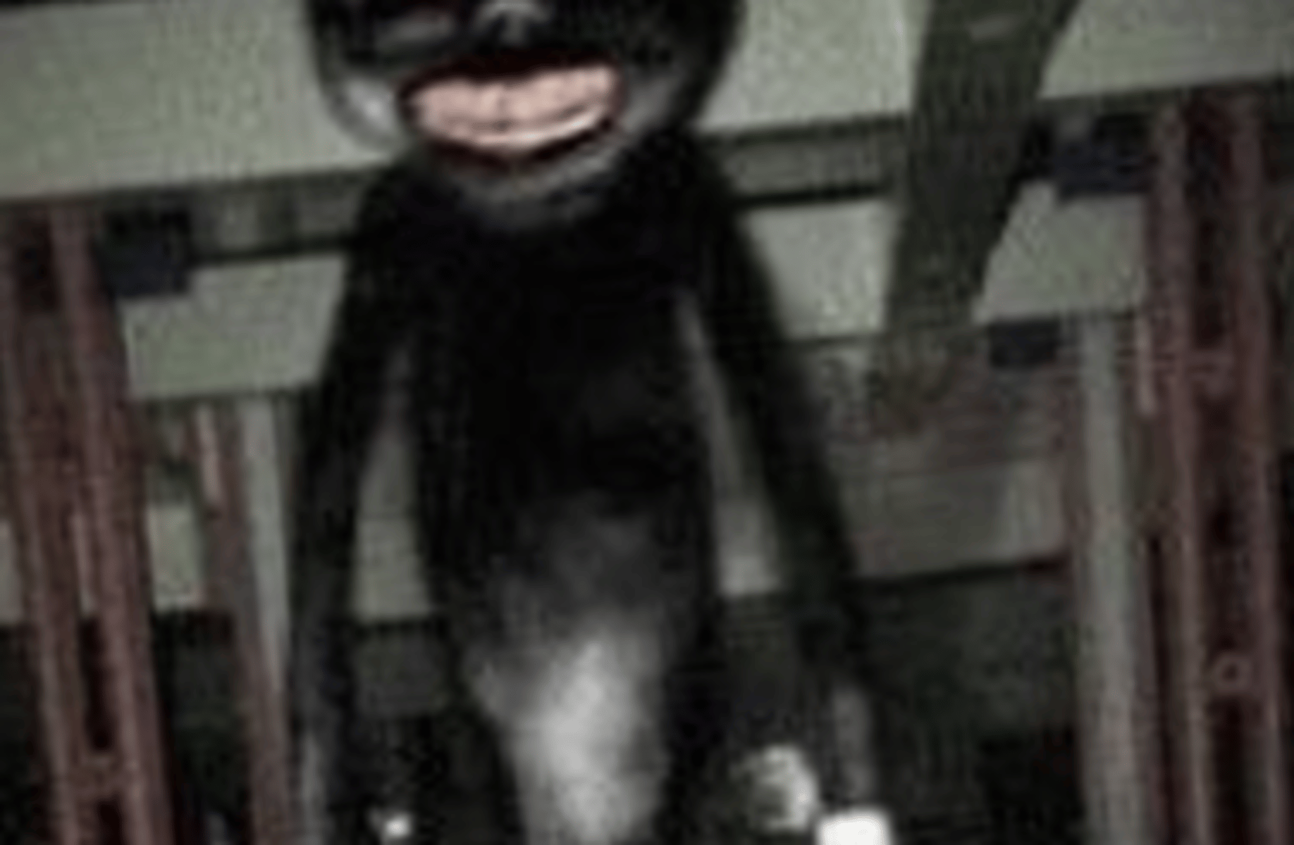 Cartoon cat